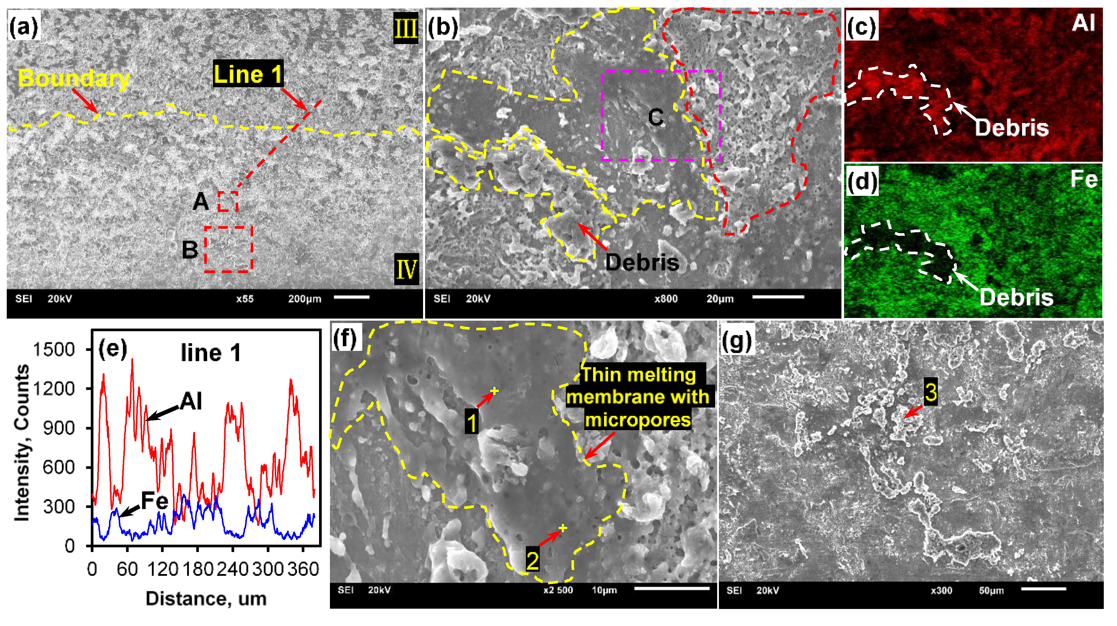 Metals 11 01468 g005