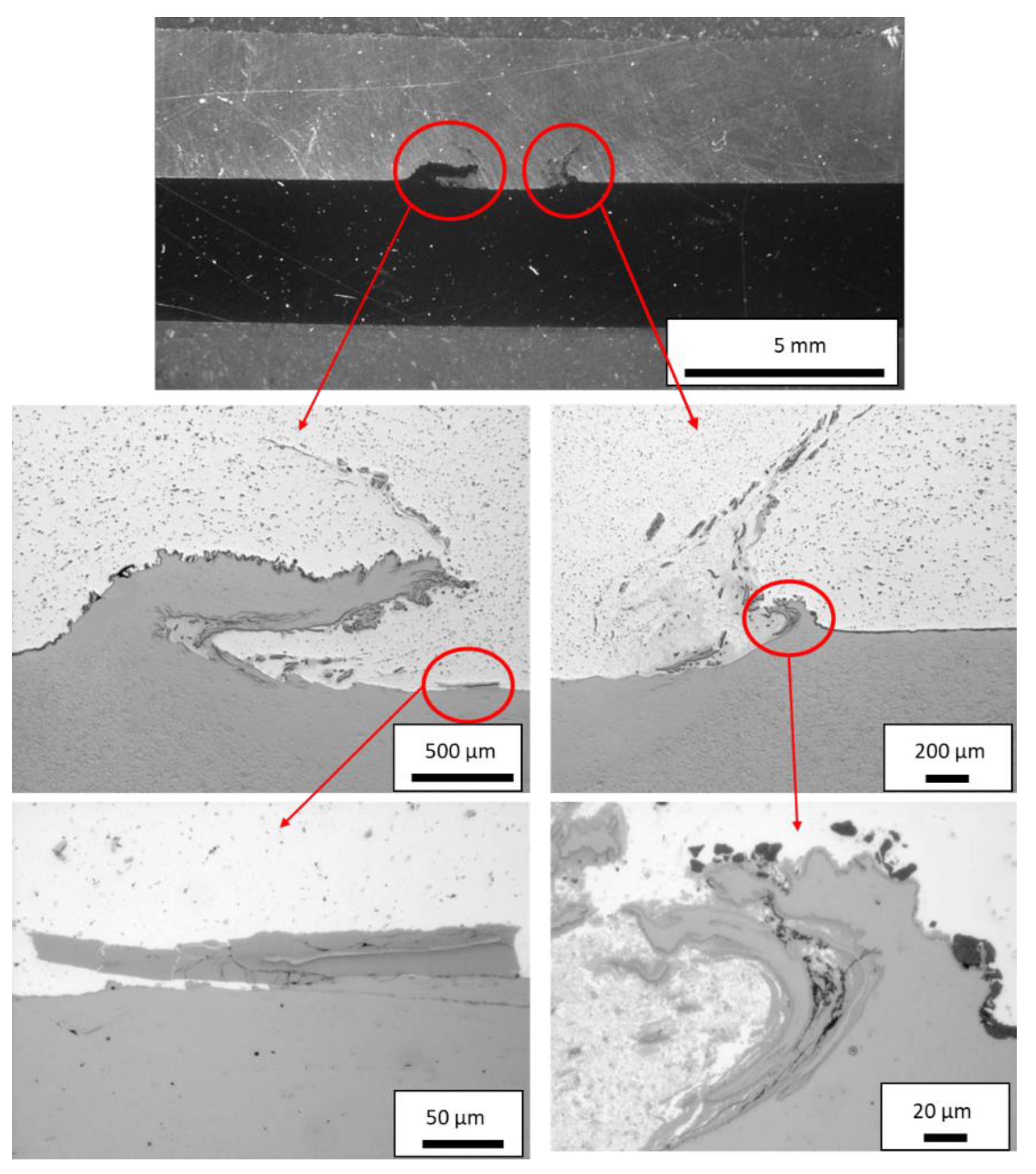 Metals 11 01474 g007