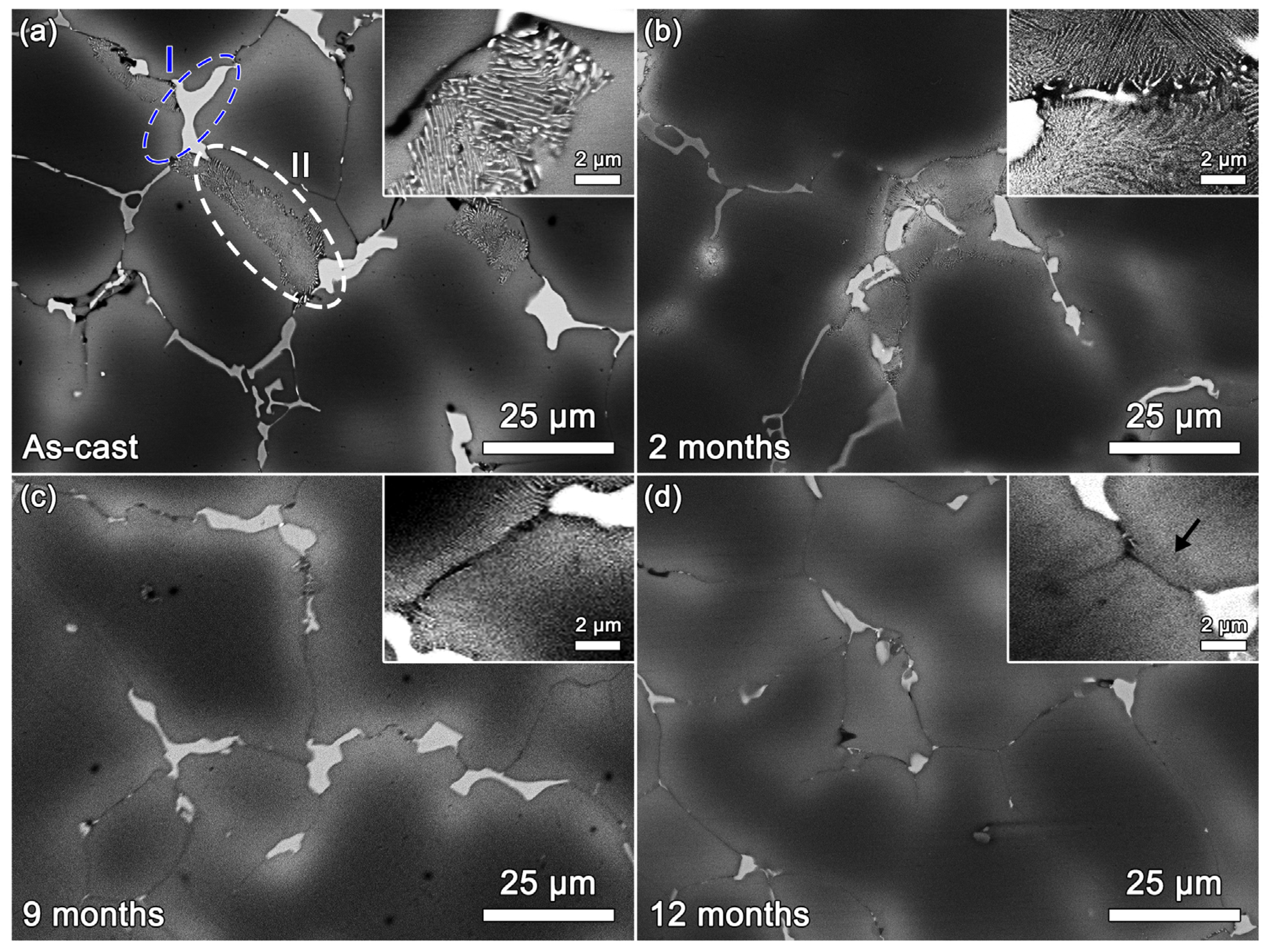 Metals 11 01485 g003 550