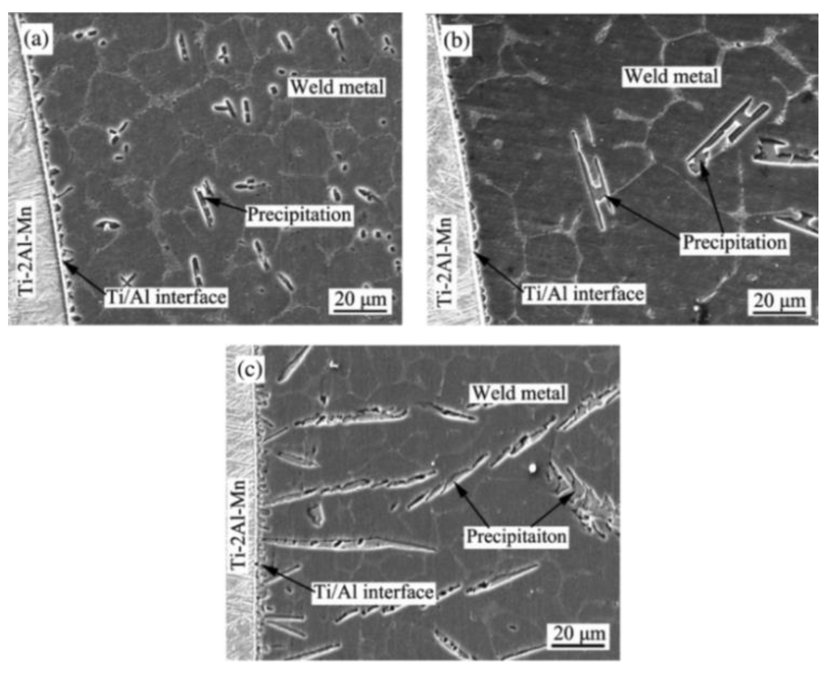 Metals 11 01486 g010