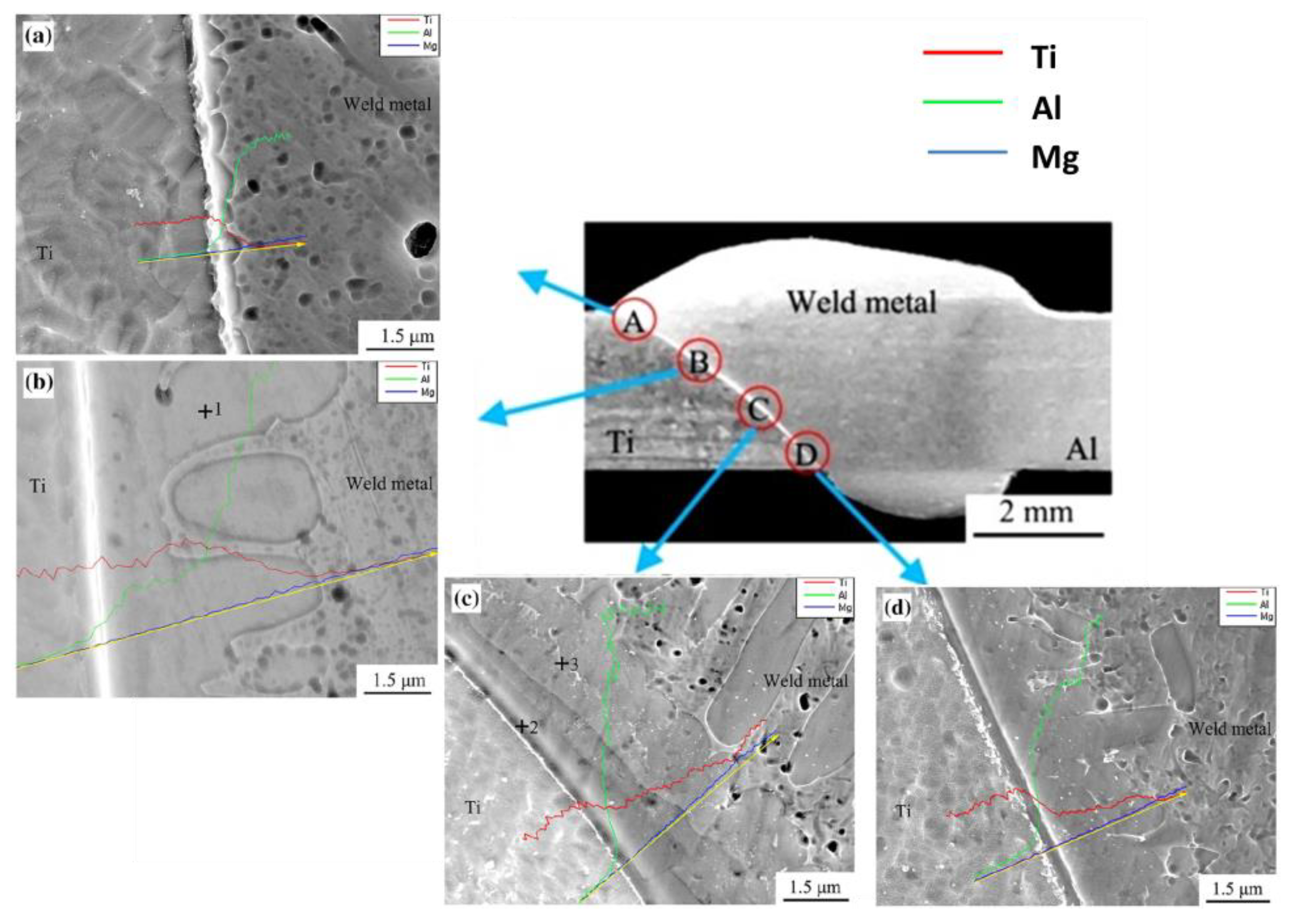 Metals 11 01486 g011