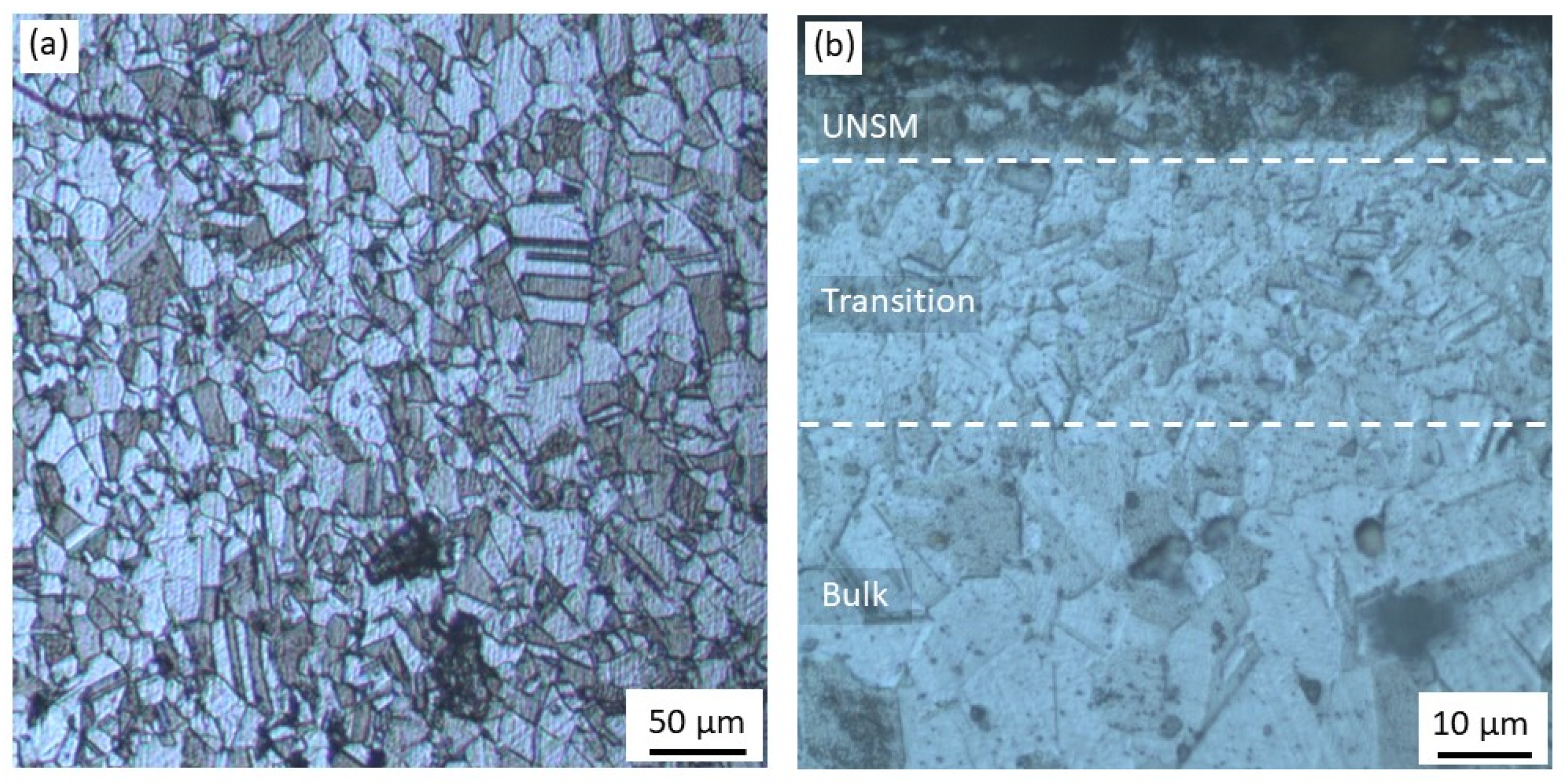 Metals 11 01488 g002 550