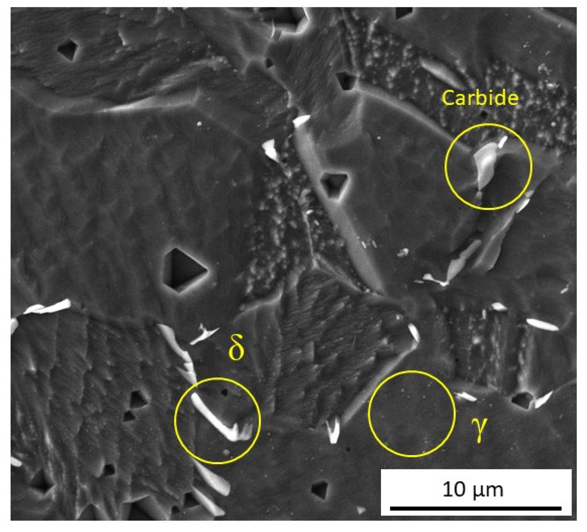 Metals 11 01488 g007 550