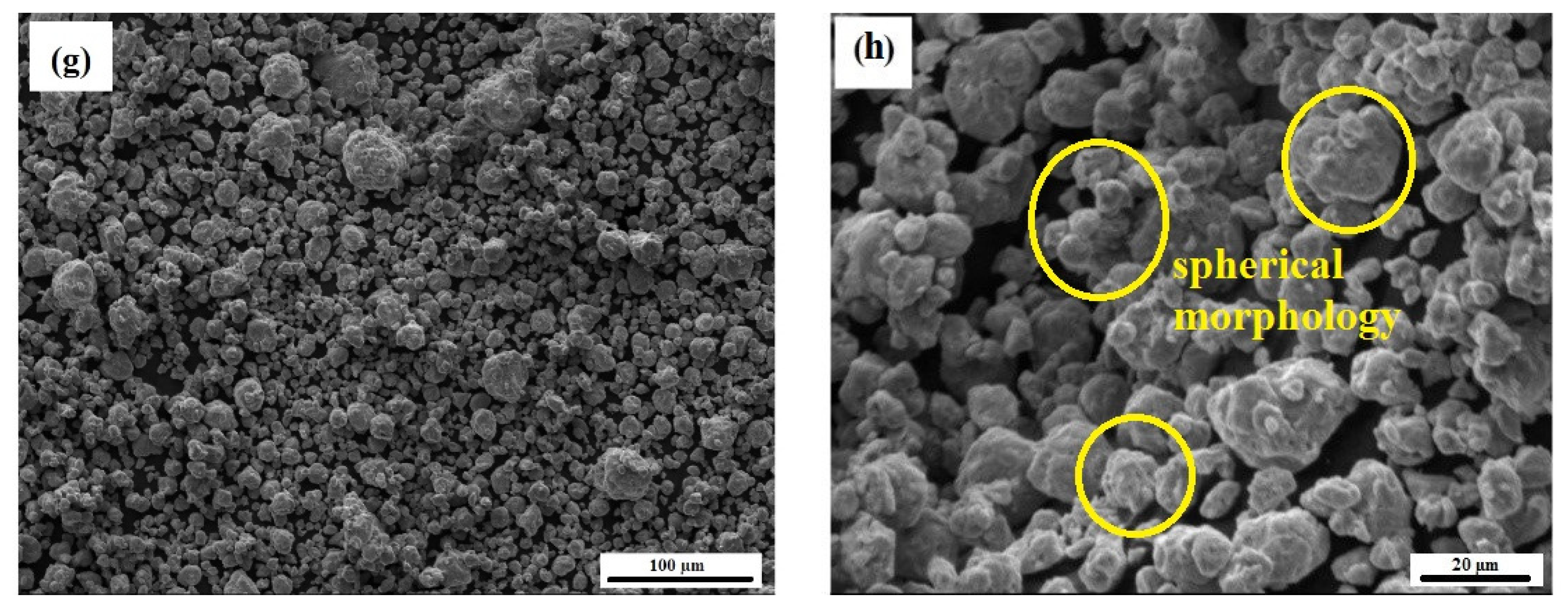 Metals 11 01493 g006b