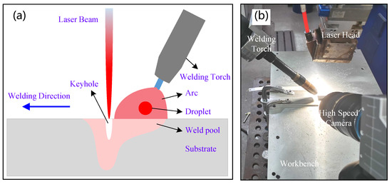 Warning Welder May Shock You  CG-4 