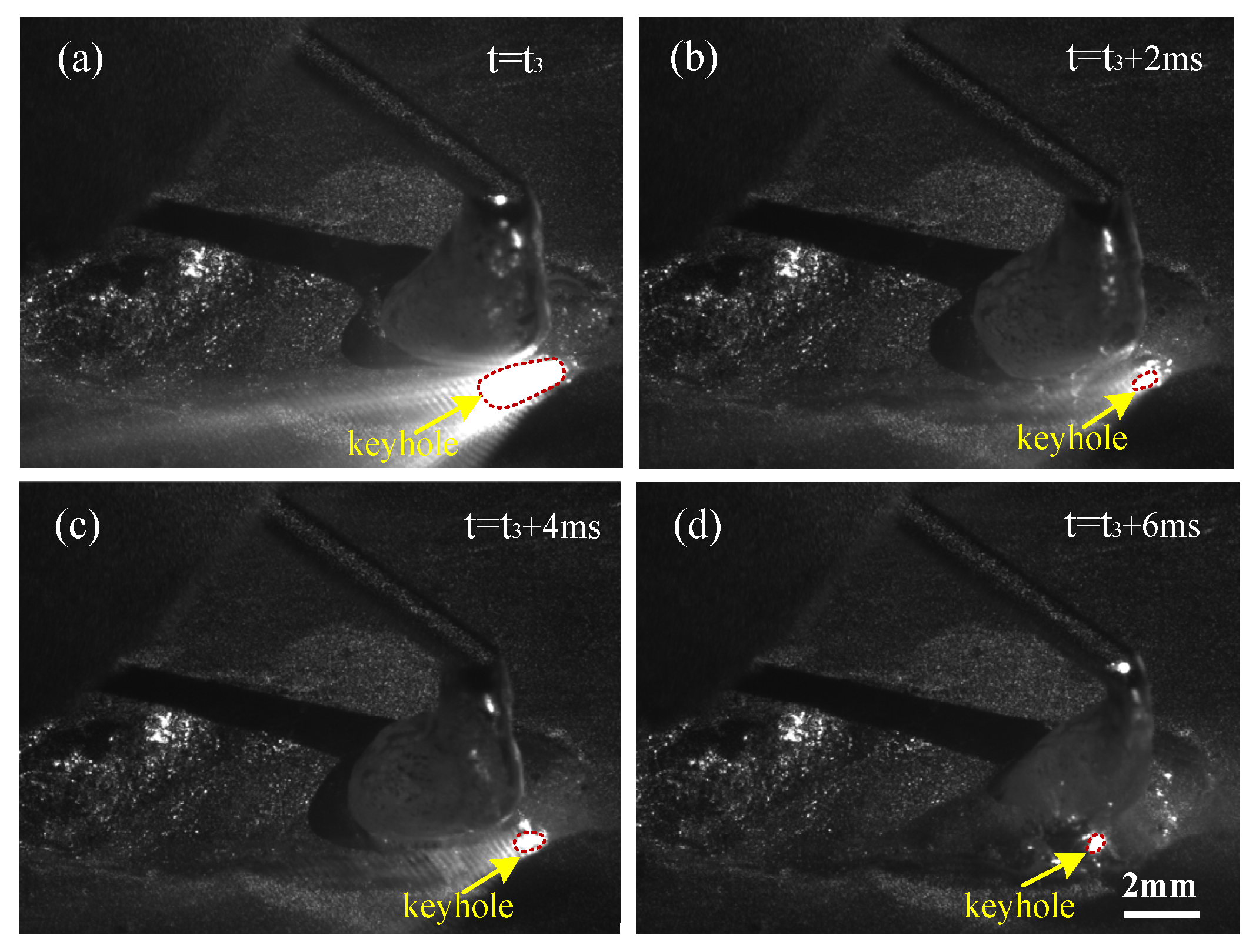 Metals 11 01510 g005