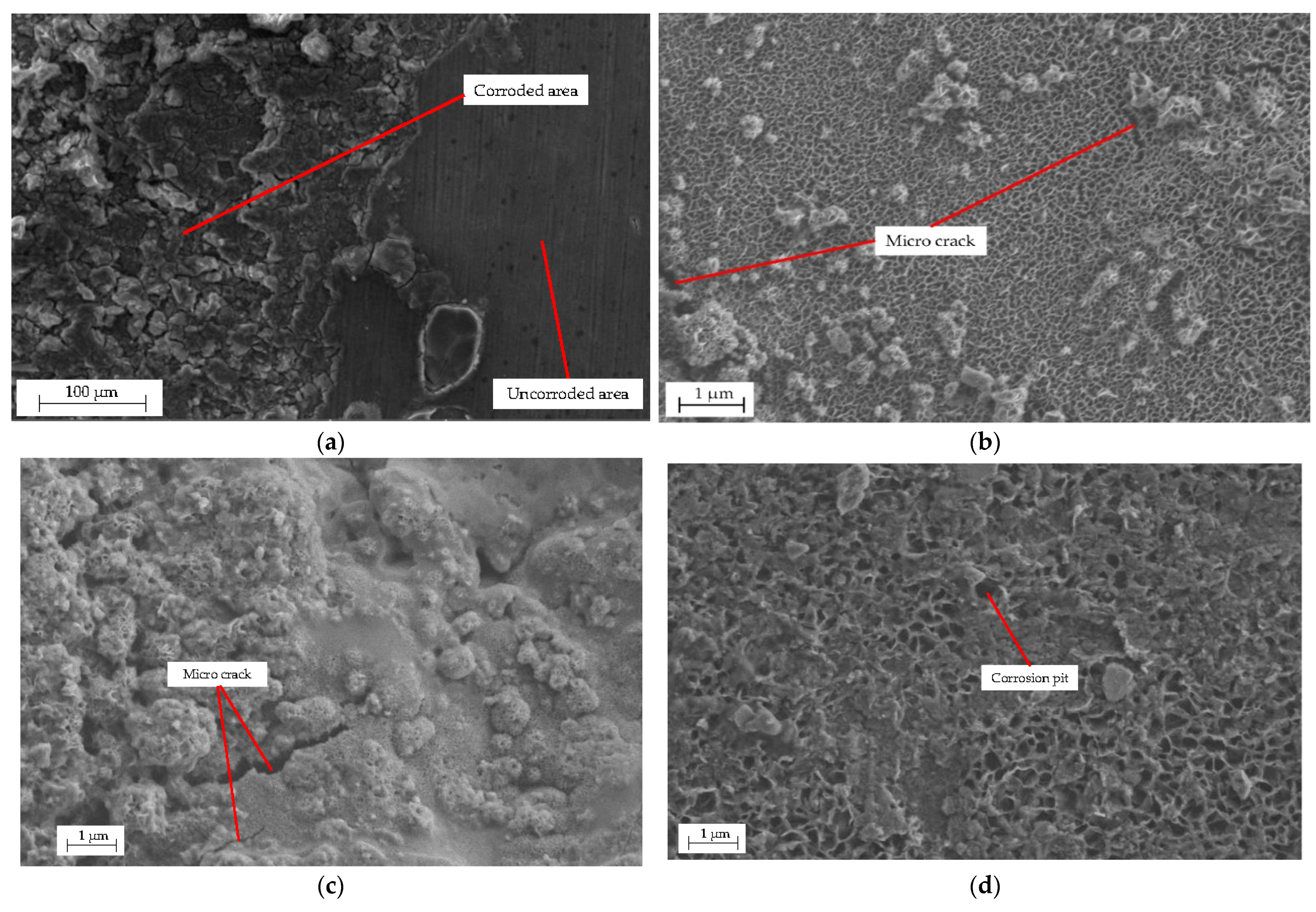 Metals 11 01522 g006a