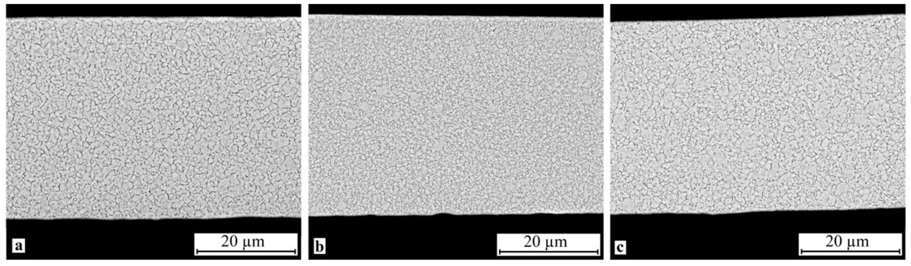 Metals 11 01528 g008