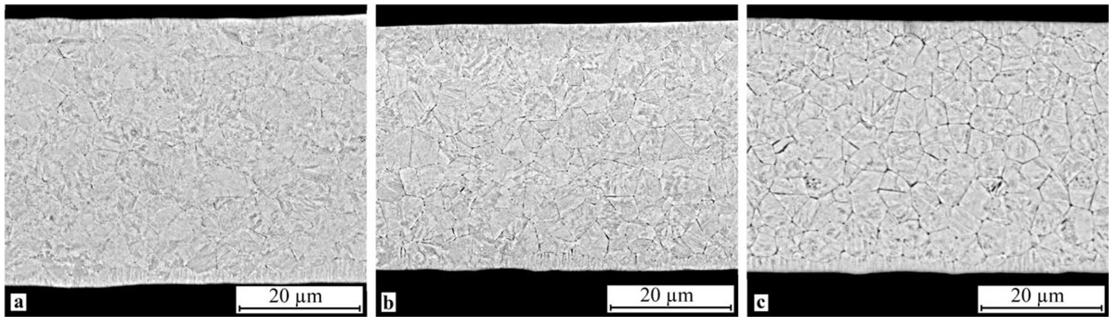 Metals 11 01528 g009