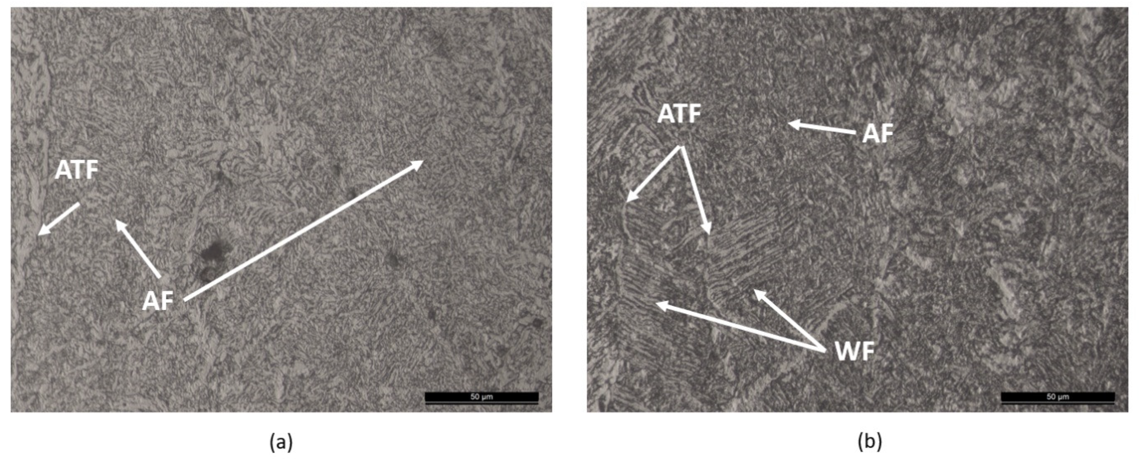 Metals 11 01530 g007 550