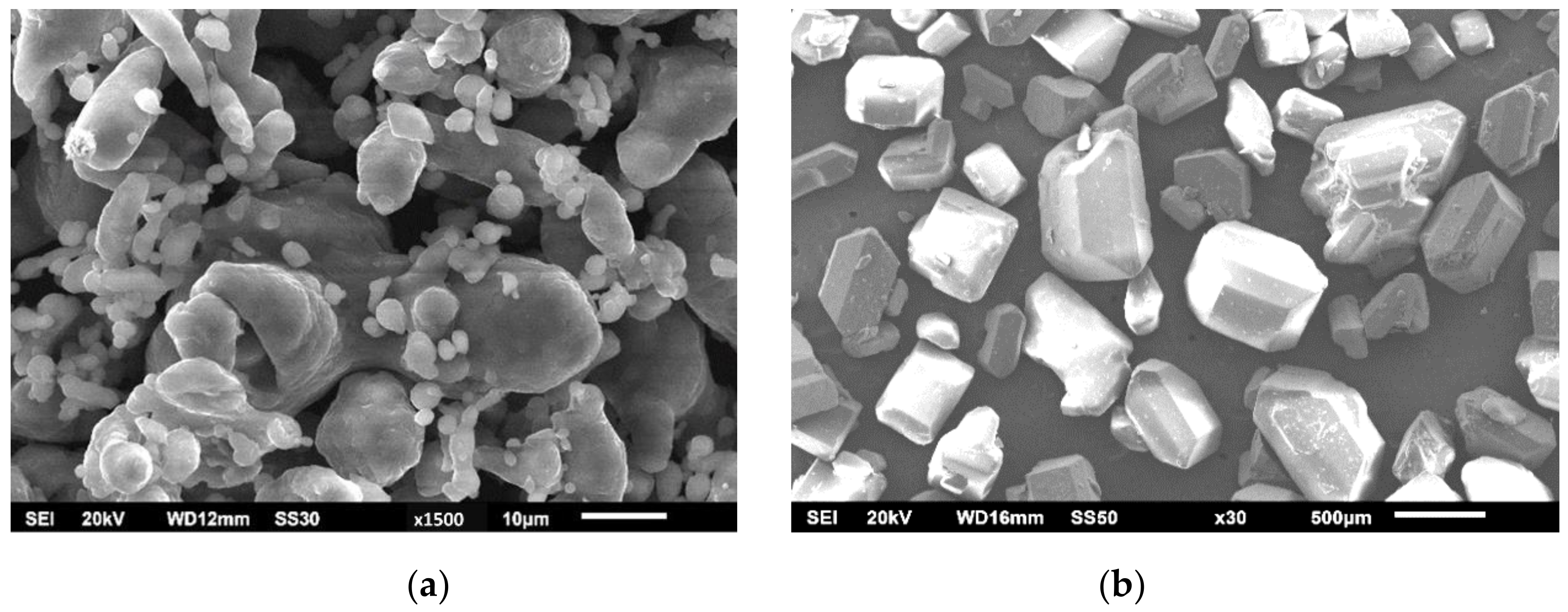 Metals 11 01544 g001