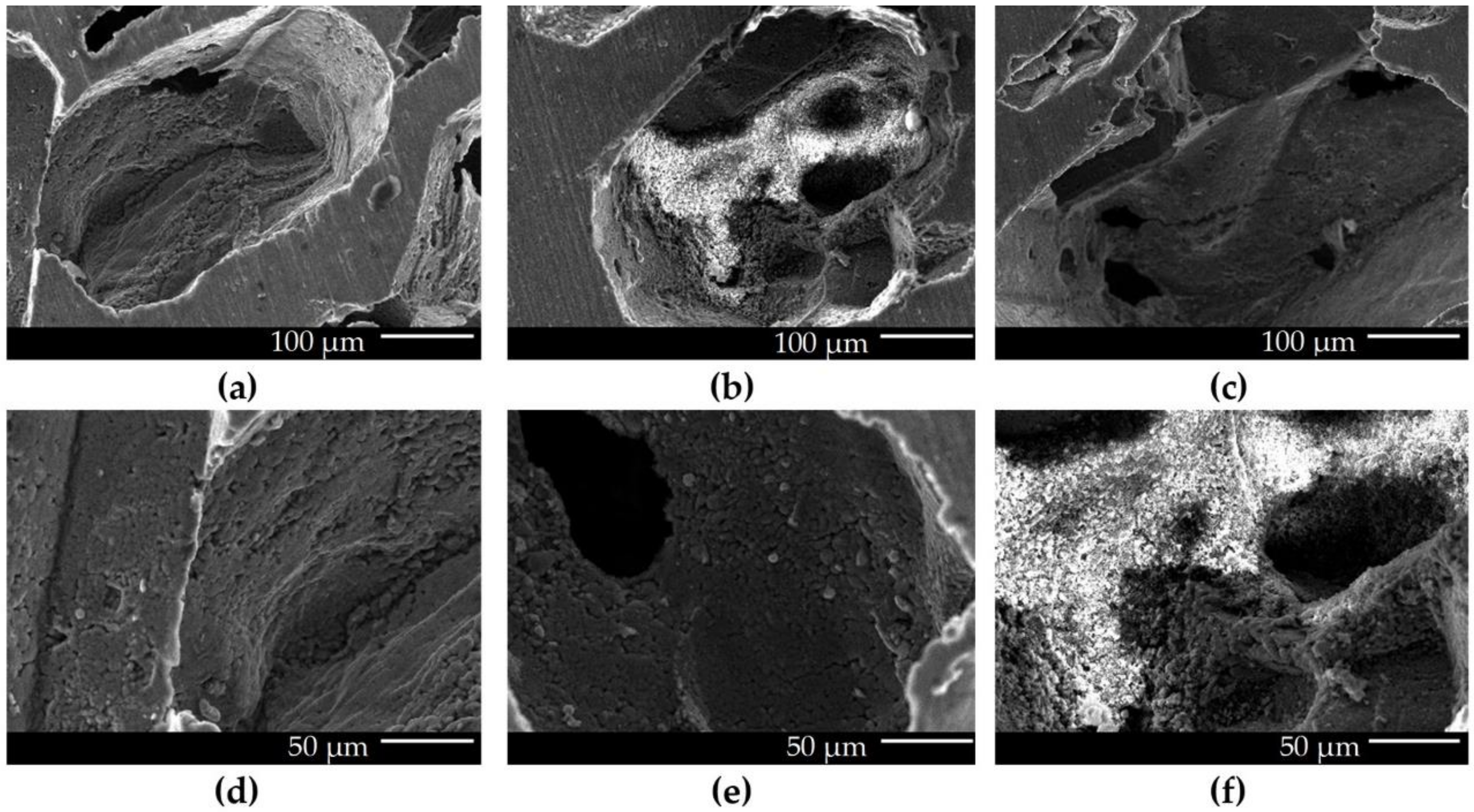 Metals 11 01544 g009