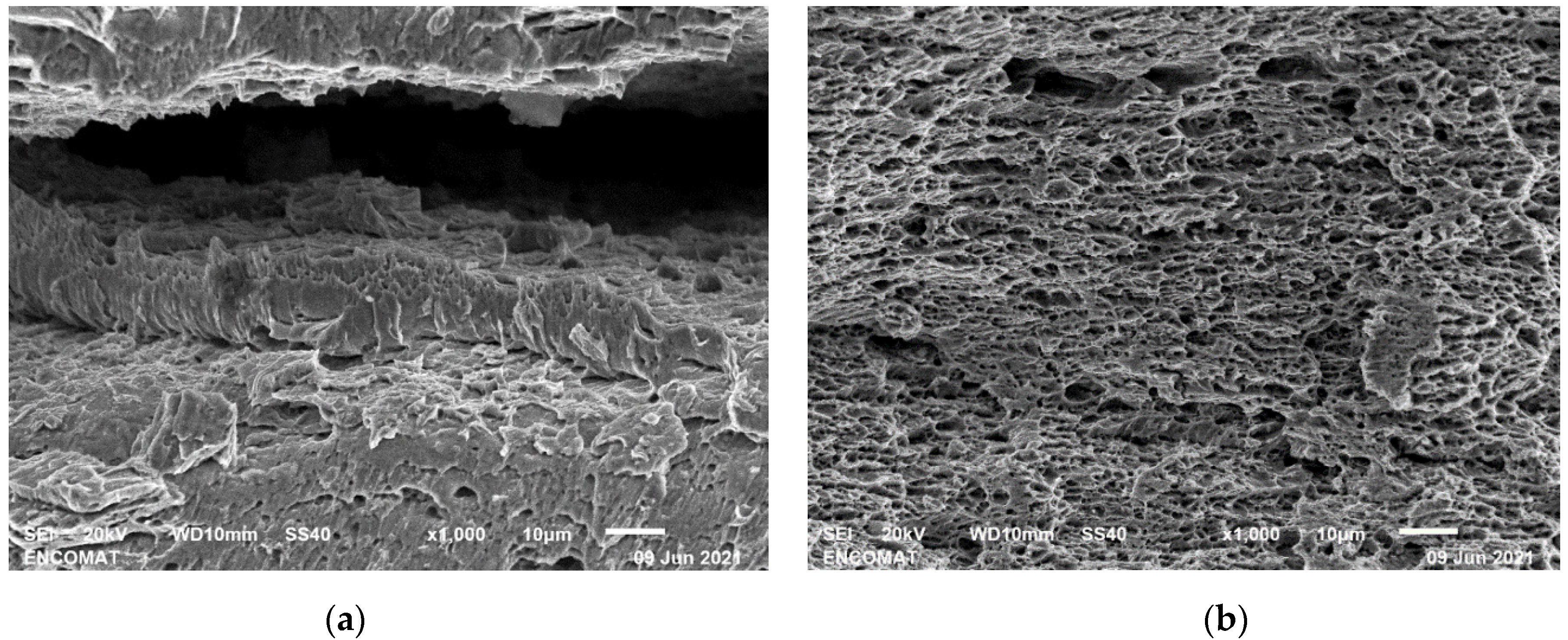 Metals 11 01545 g003