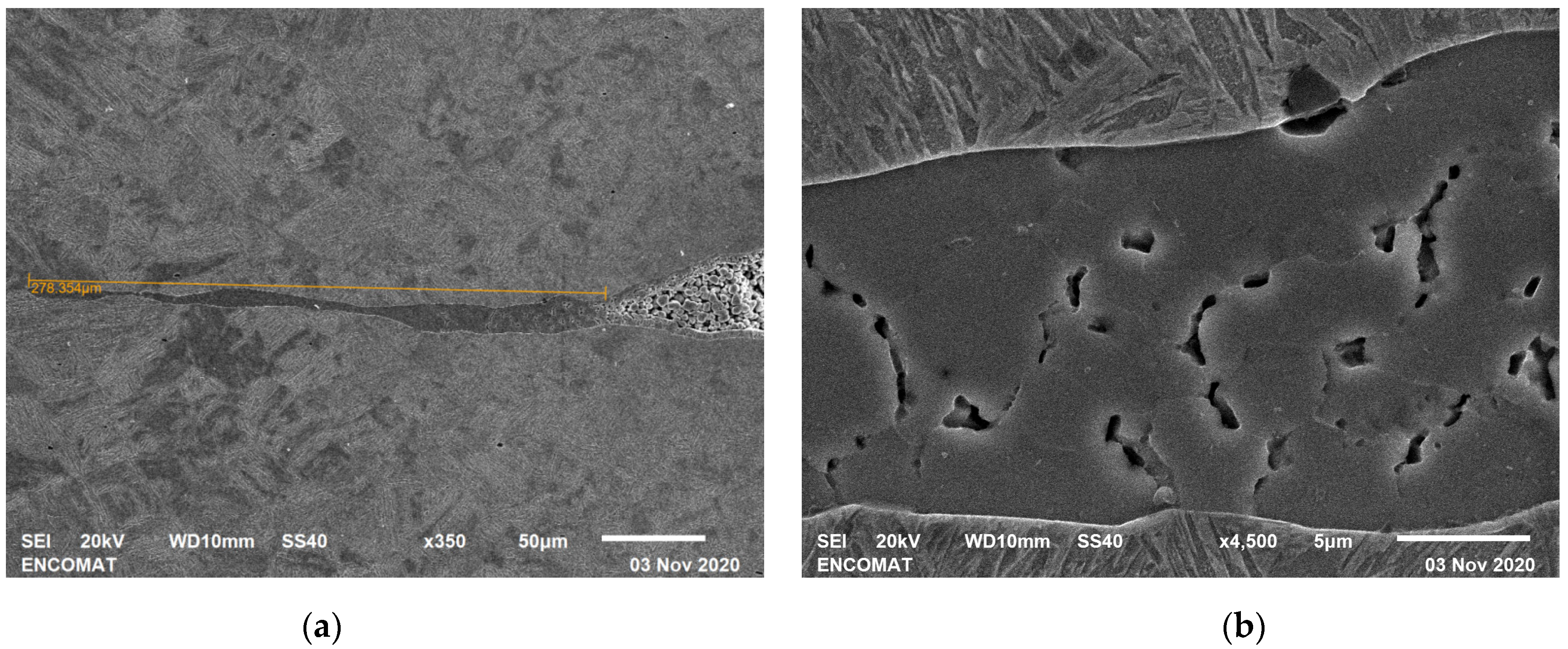 Metals 11 01545 g010