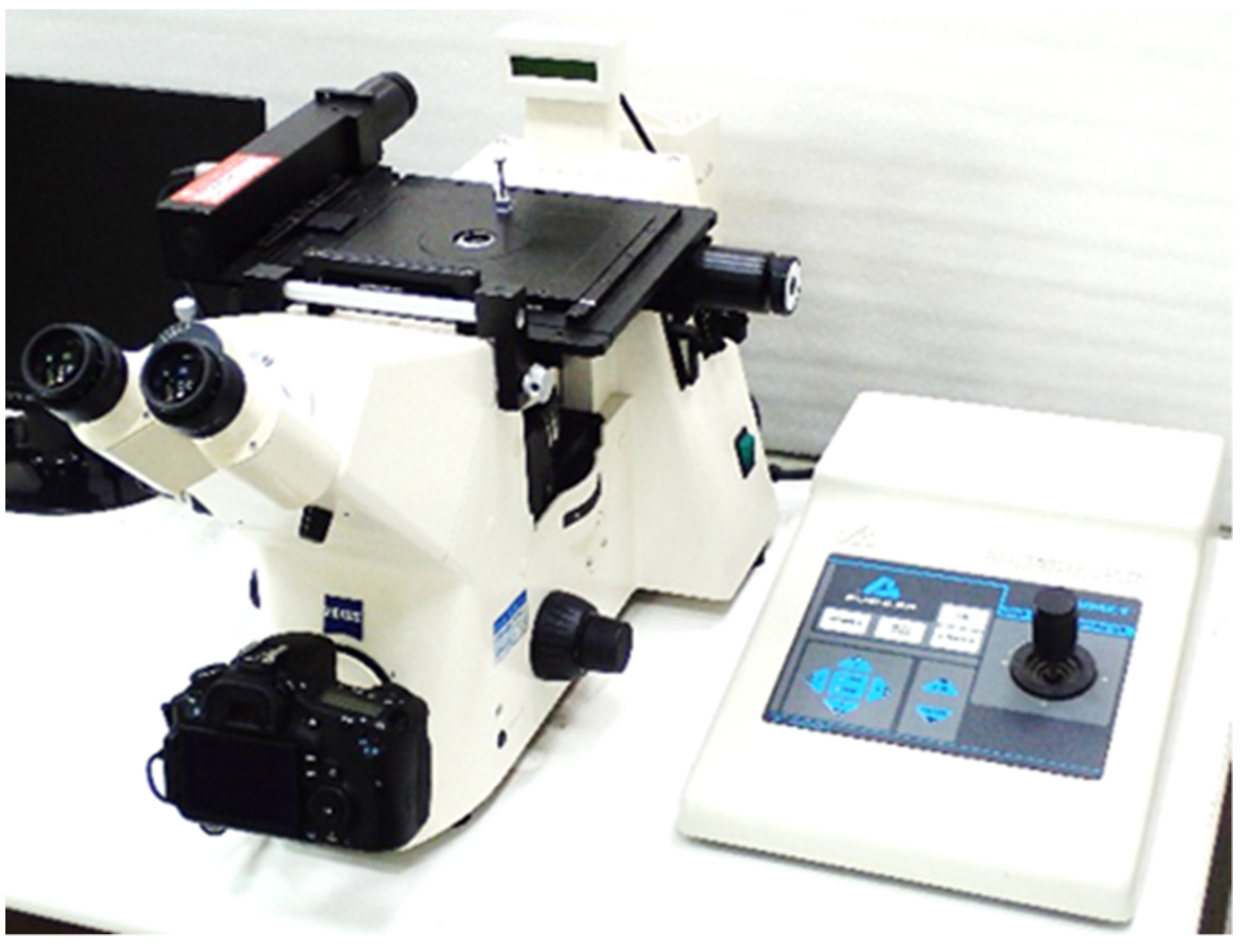 Metals 11 01547 g002 550