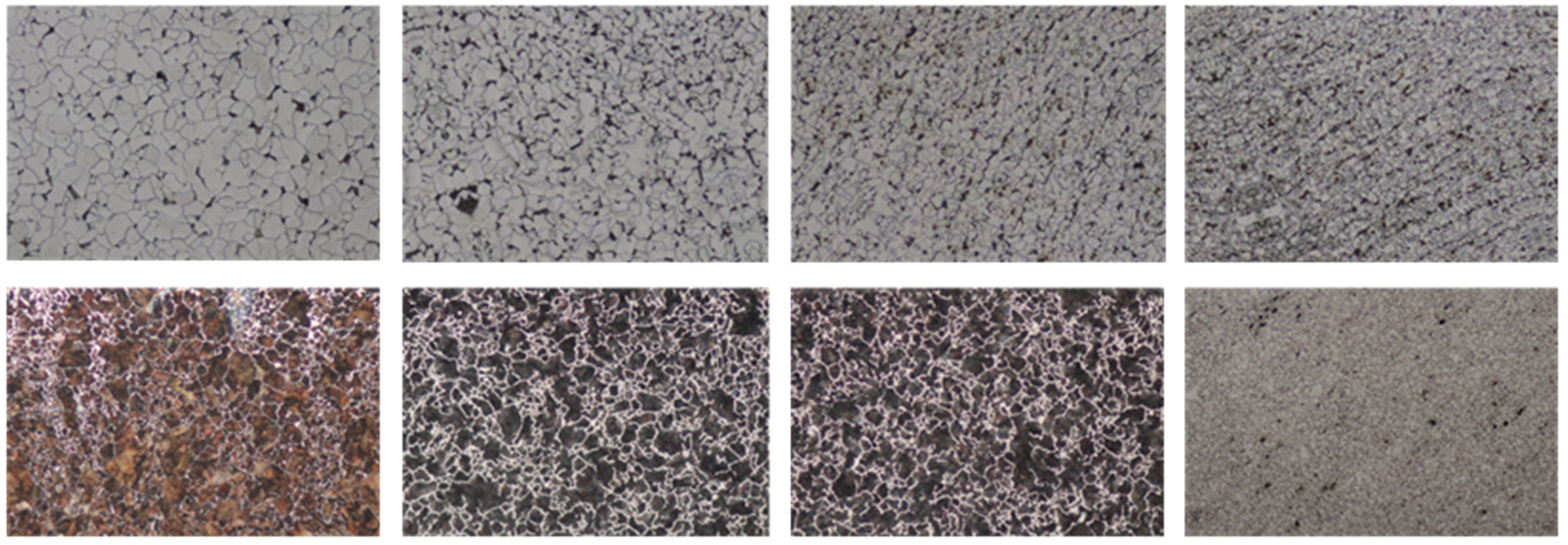 Metals 11 01547 g003 550