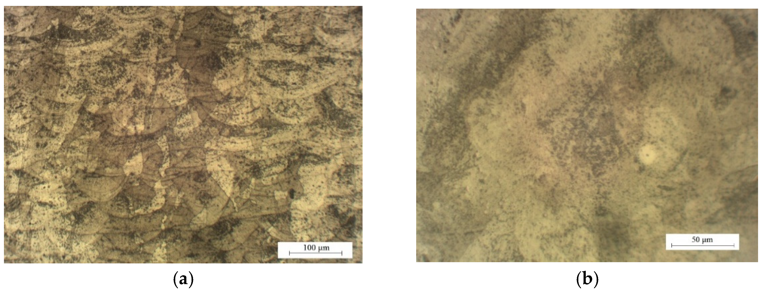 Metals 11 01551 g004