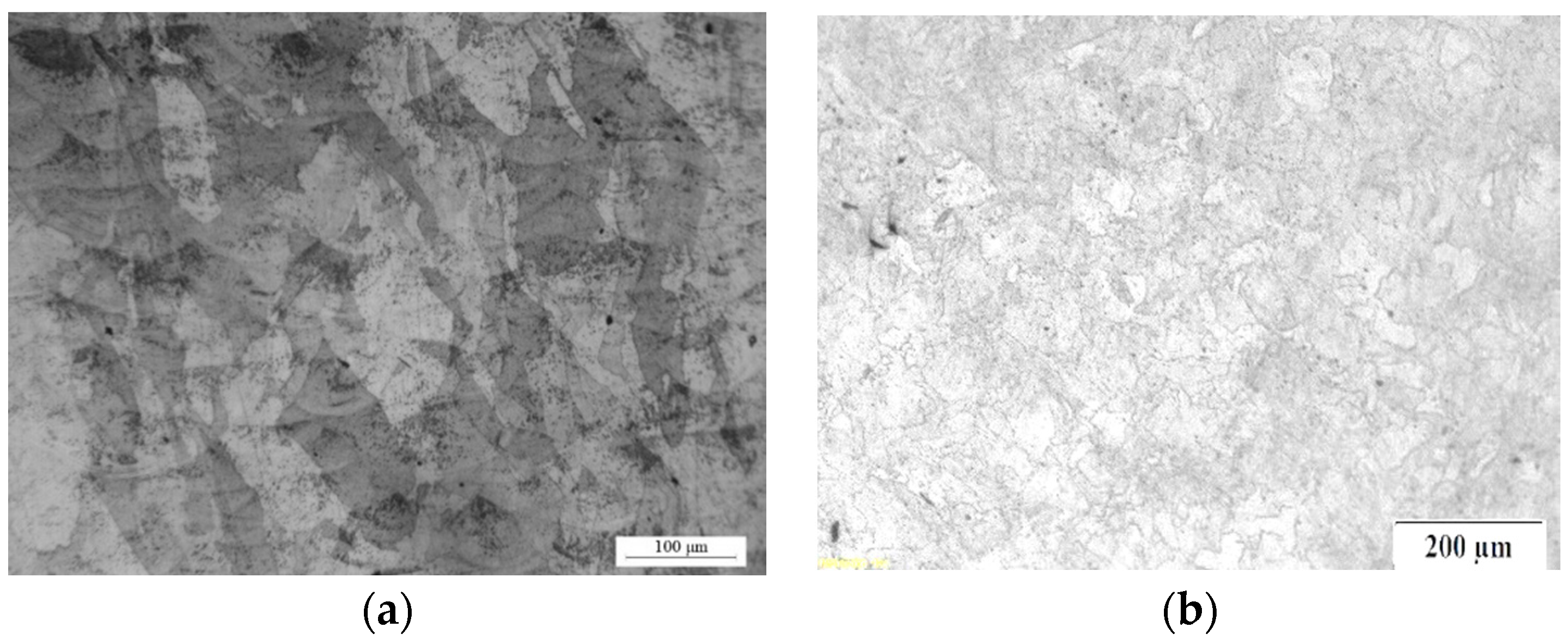 Metals 11 01551 g007