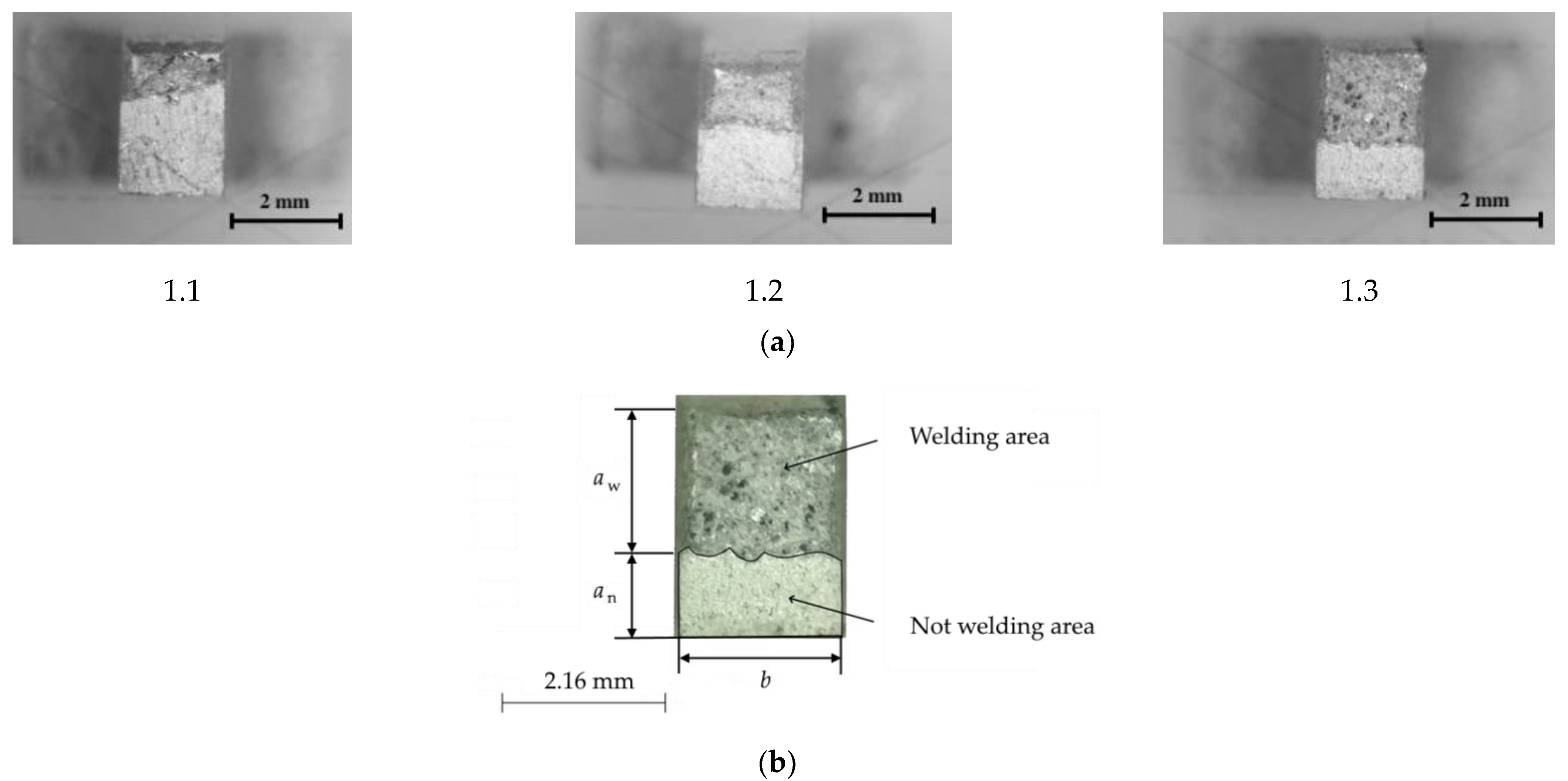 Metals 11 01564 g005 550