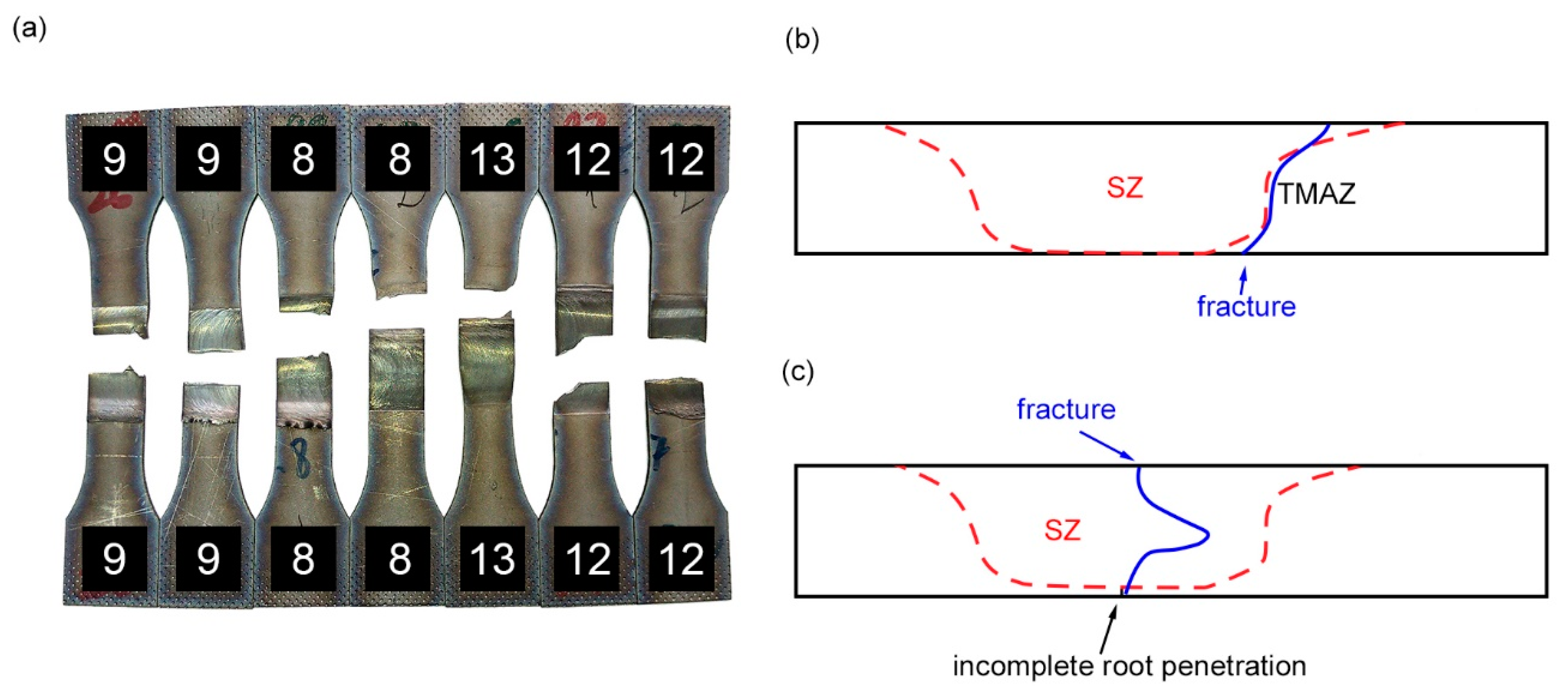 Metals 11 01566 g007