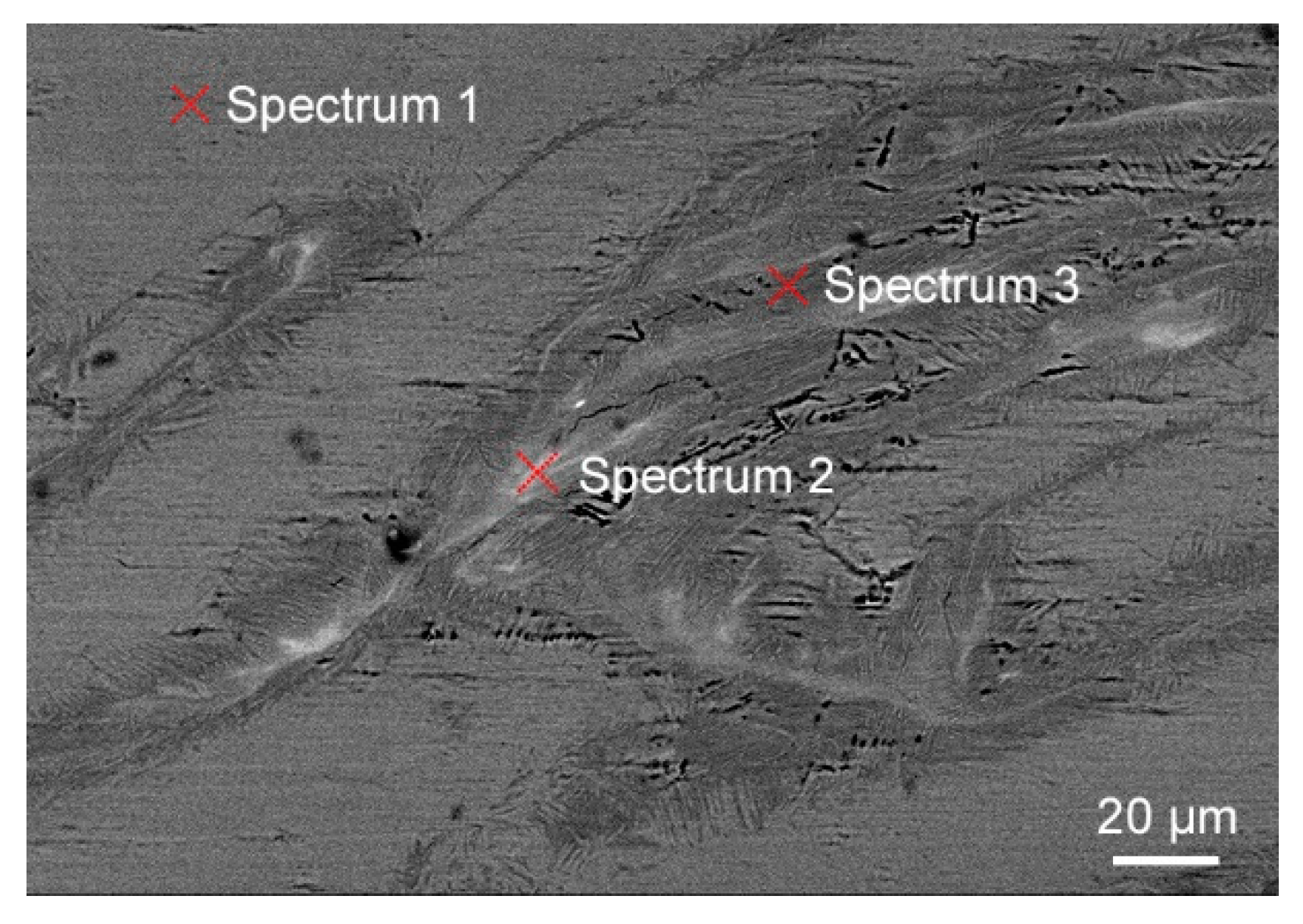 Metals 11 01566 g011