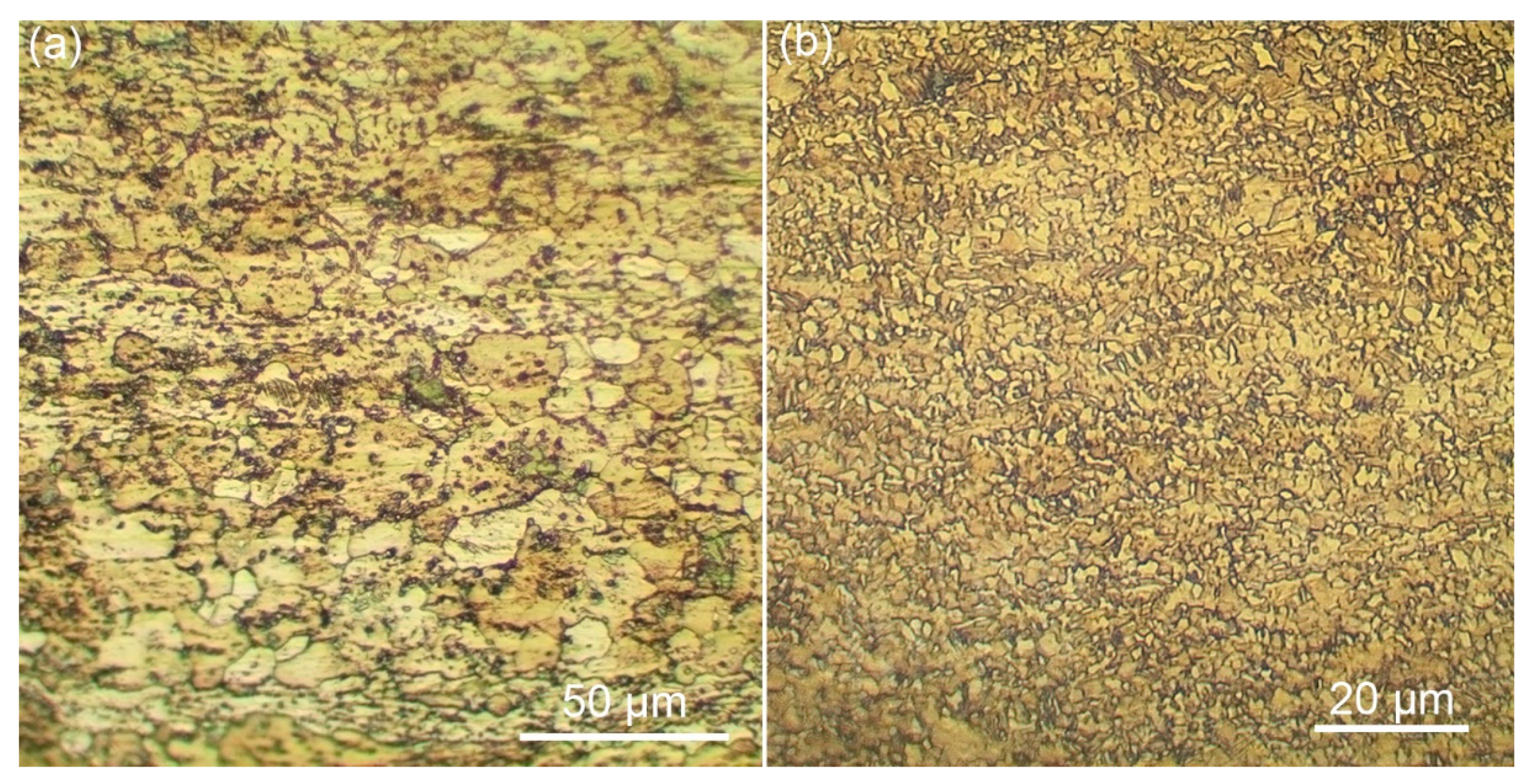 Metals 11 01566 g012