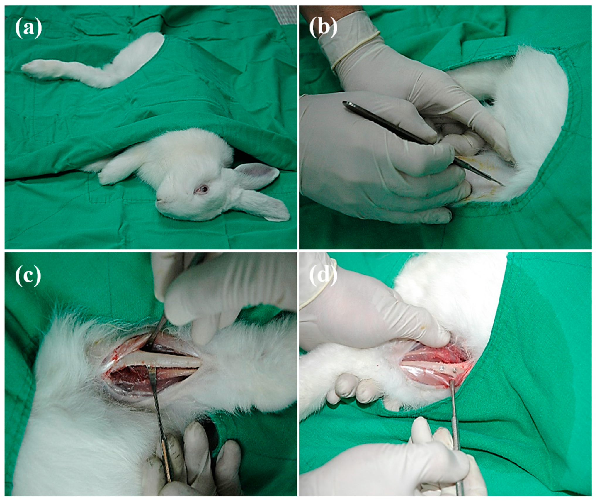 Metals 11 01575 g001