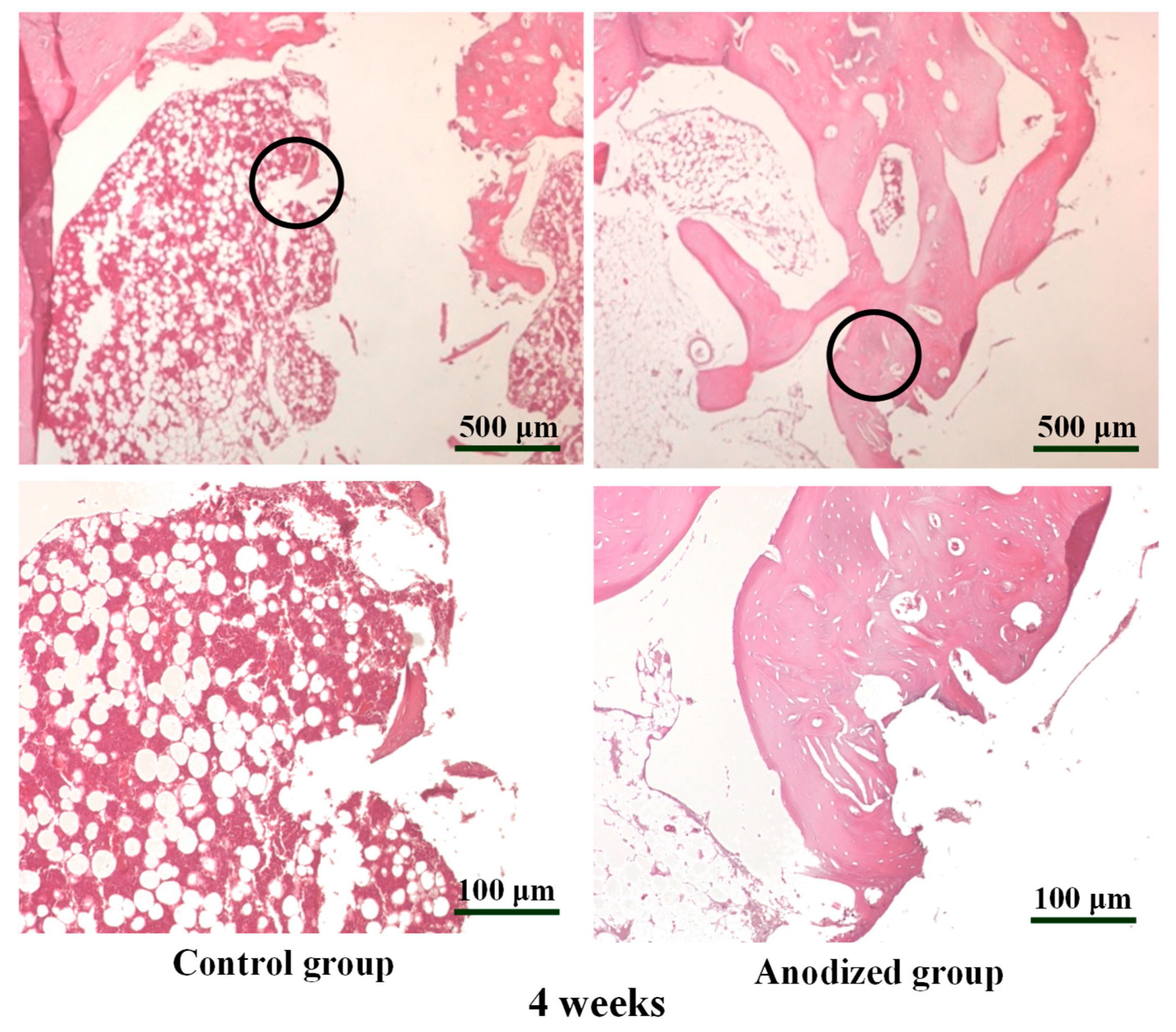 Metals 11 01575 g006
