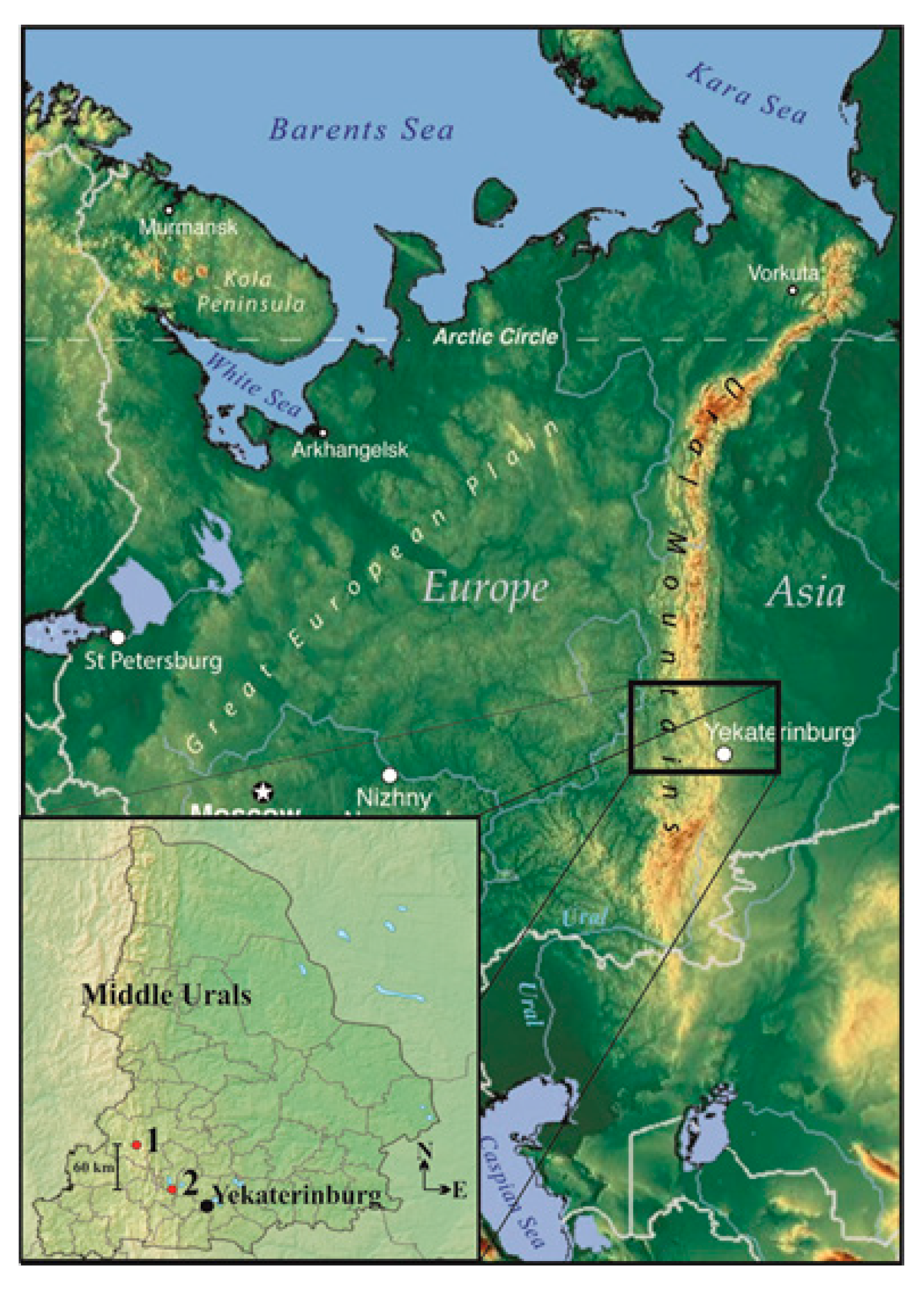 Metals 11 01589 g001