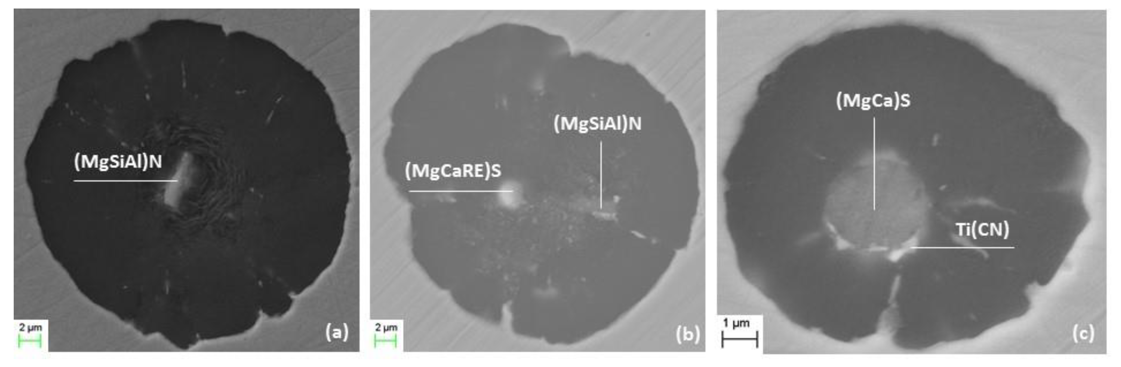 Metals 11 01600 g010