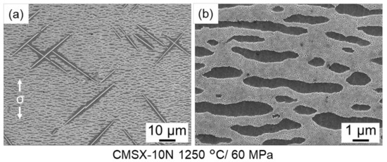 組織学 ZX SPECTRUM AY-3-8912-kempston - OSHWLab