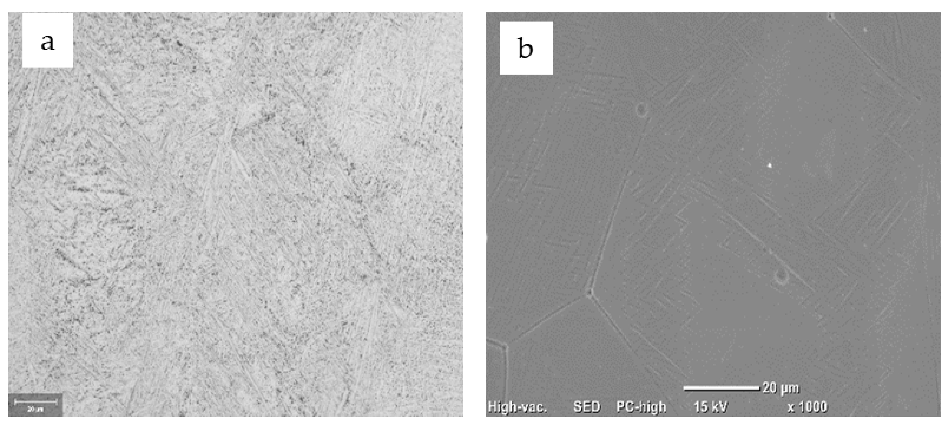 Metals 11 01626 g007