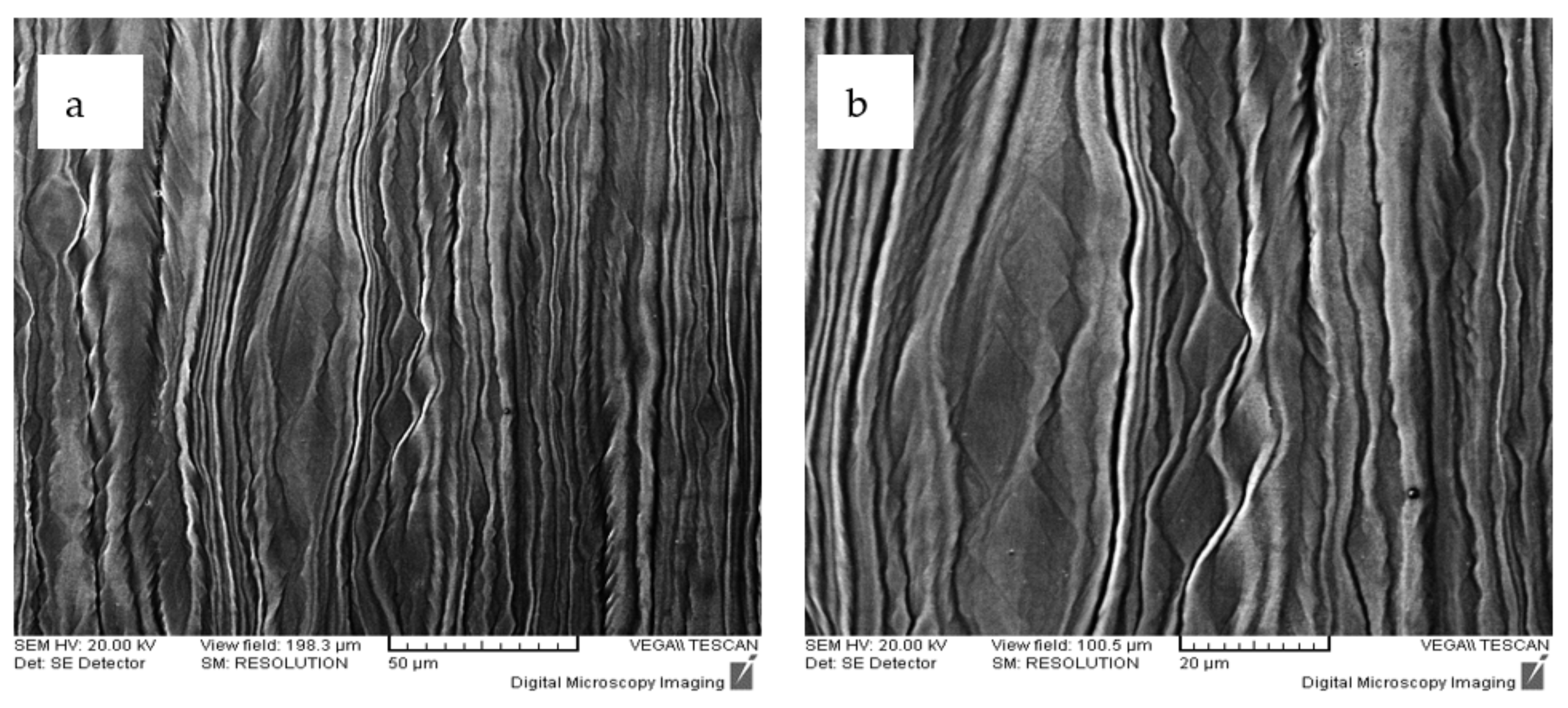 Metals 11 01626 g008