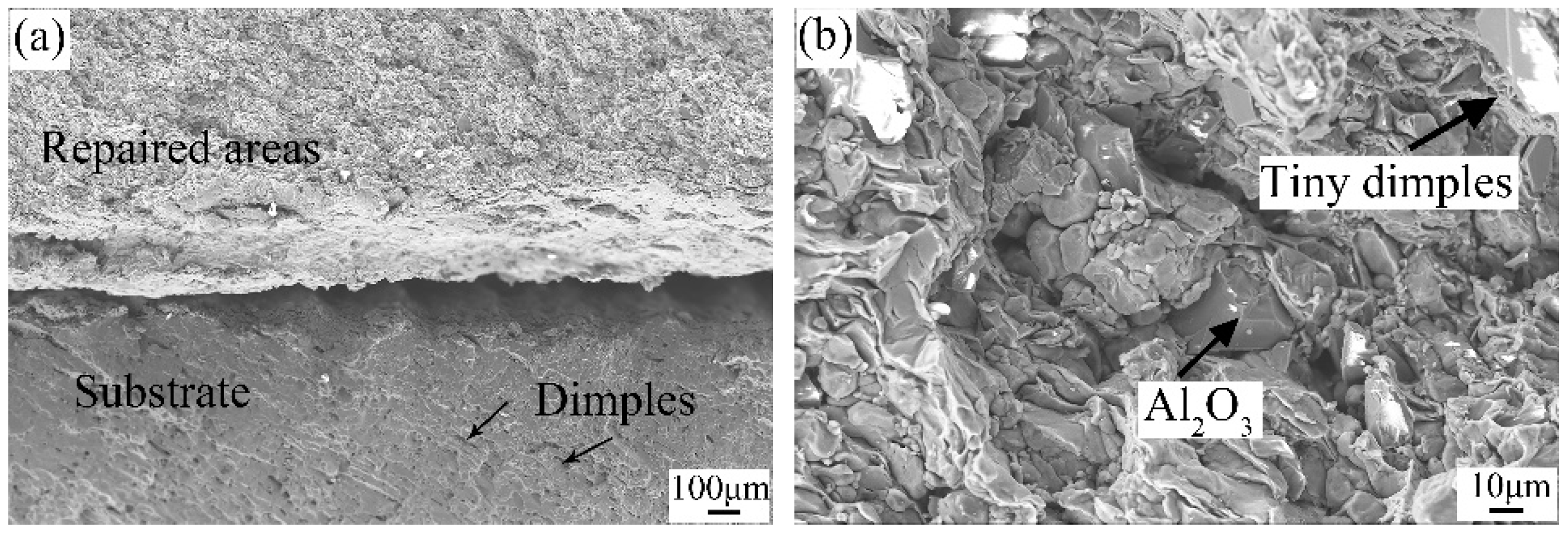 Metals 11 01633 g009