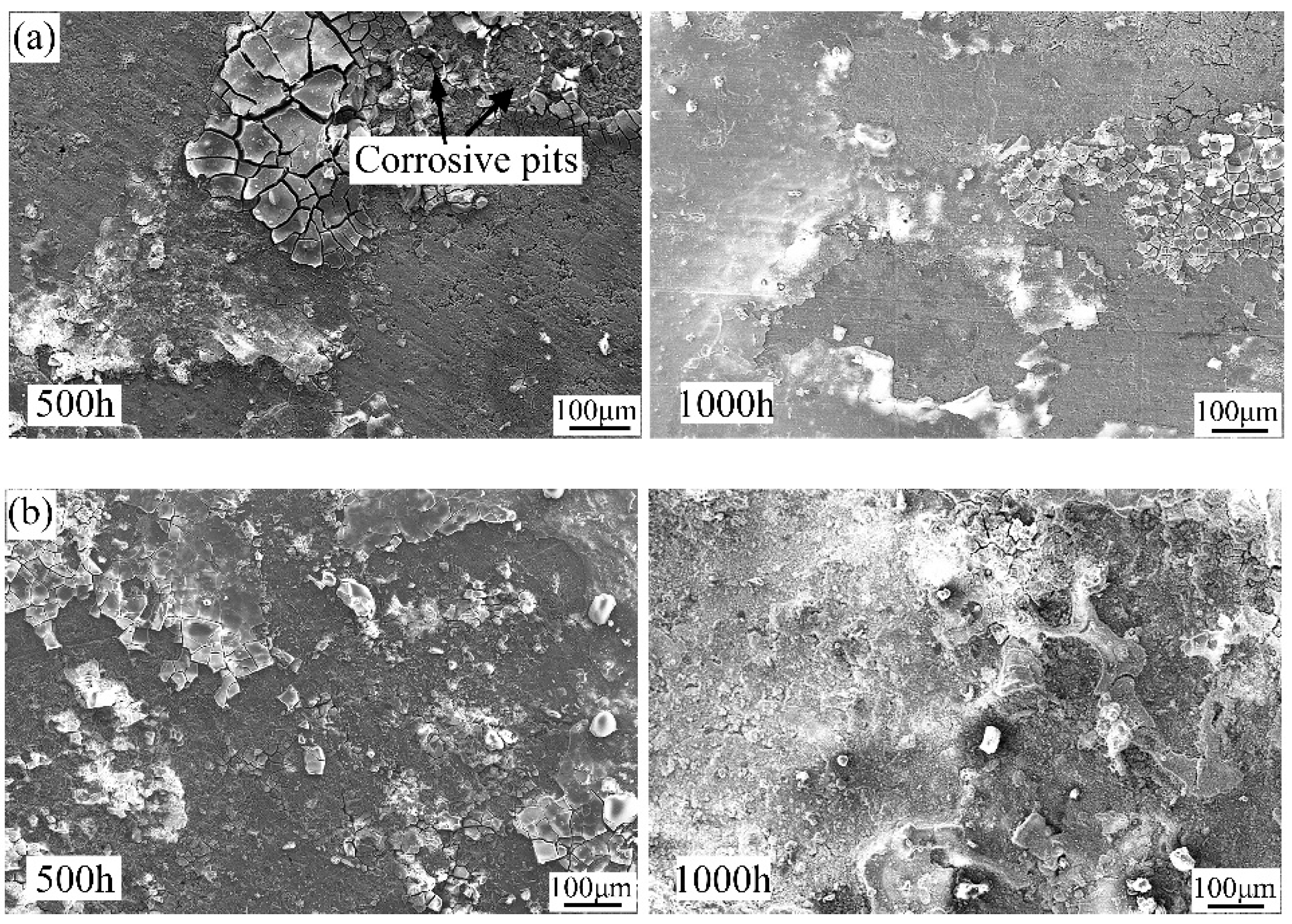 Metals 11 01633 g012