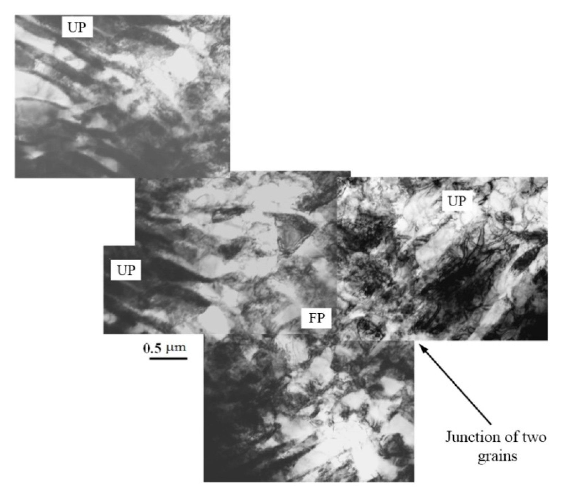 Metals 11 01638 g006