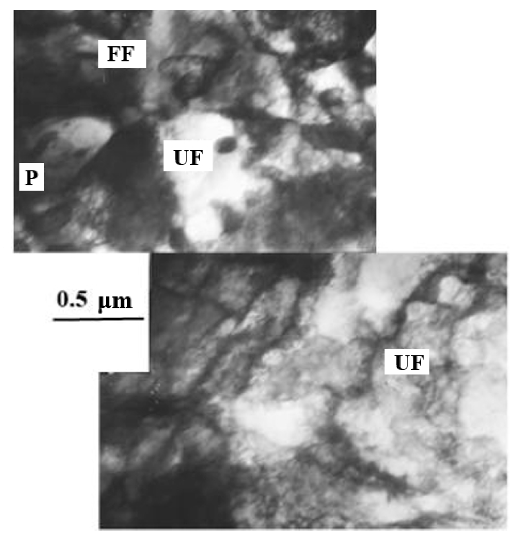 Metals 11 01638 g009