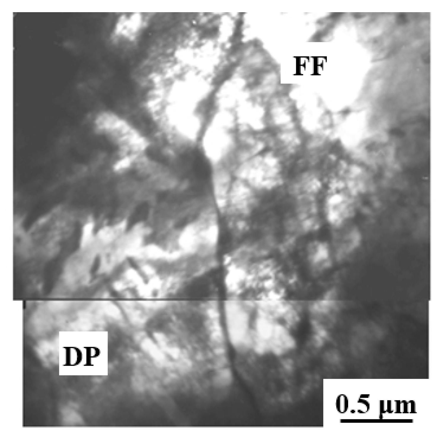 Metals 11 01638 g010