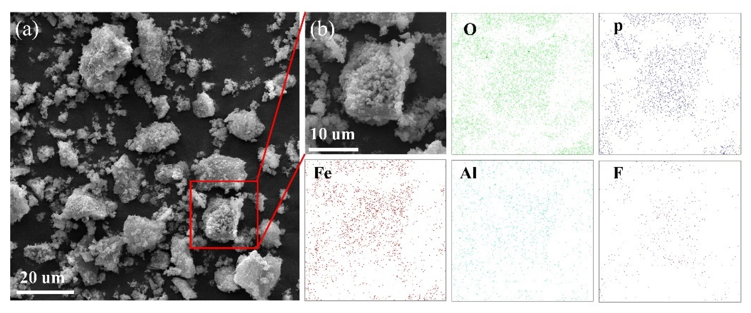 Metals 11 01641 g006