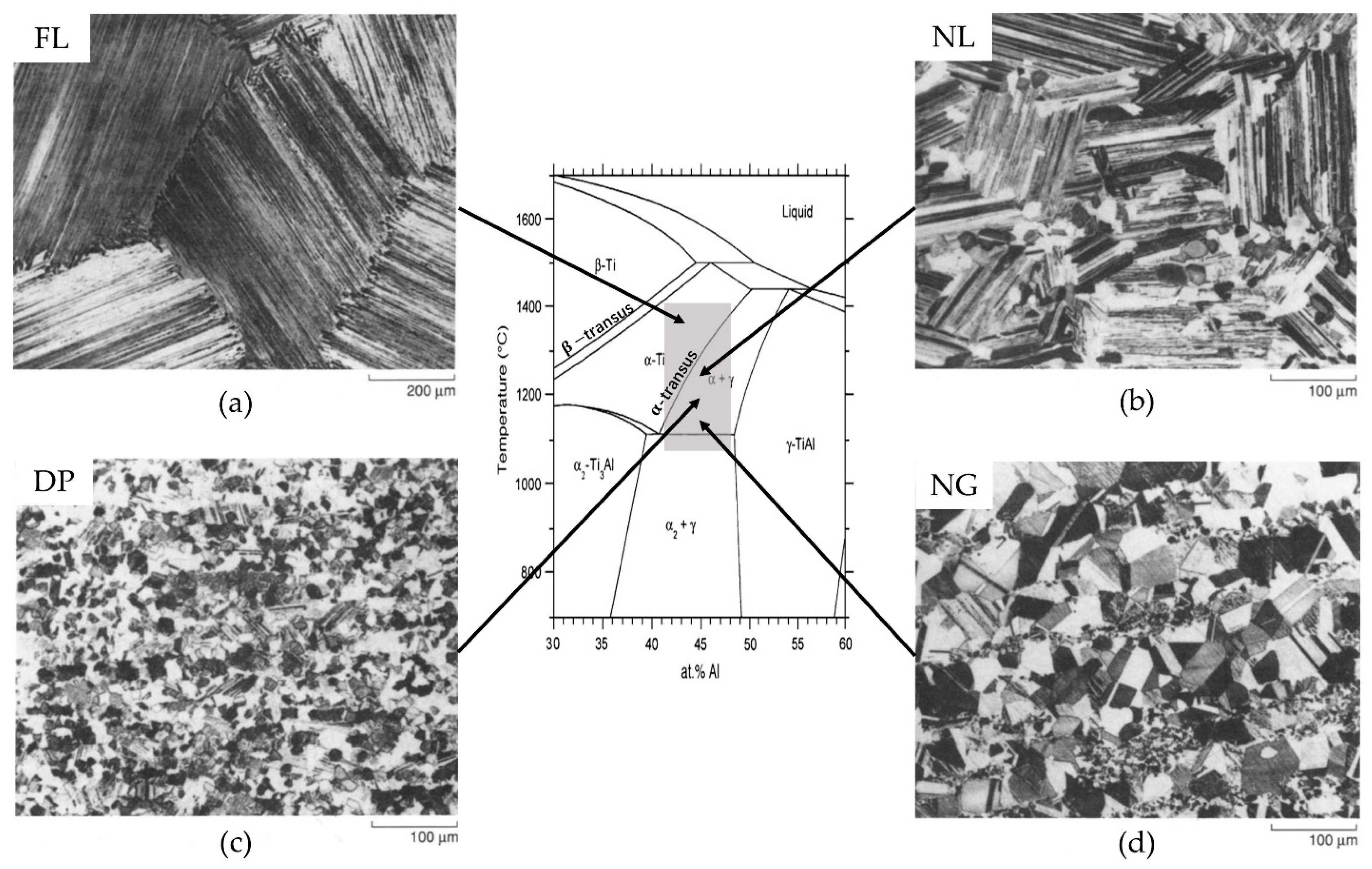 Microstructure Design and Its Effect on Mechanical