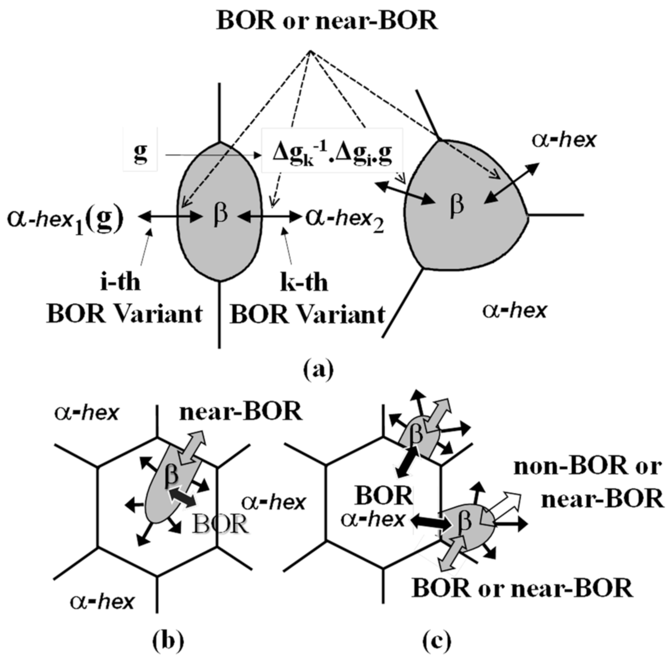 Metals 11 01653 g001