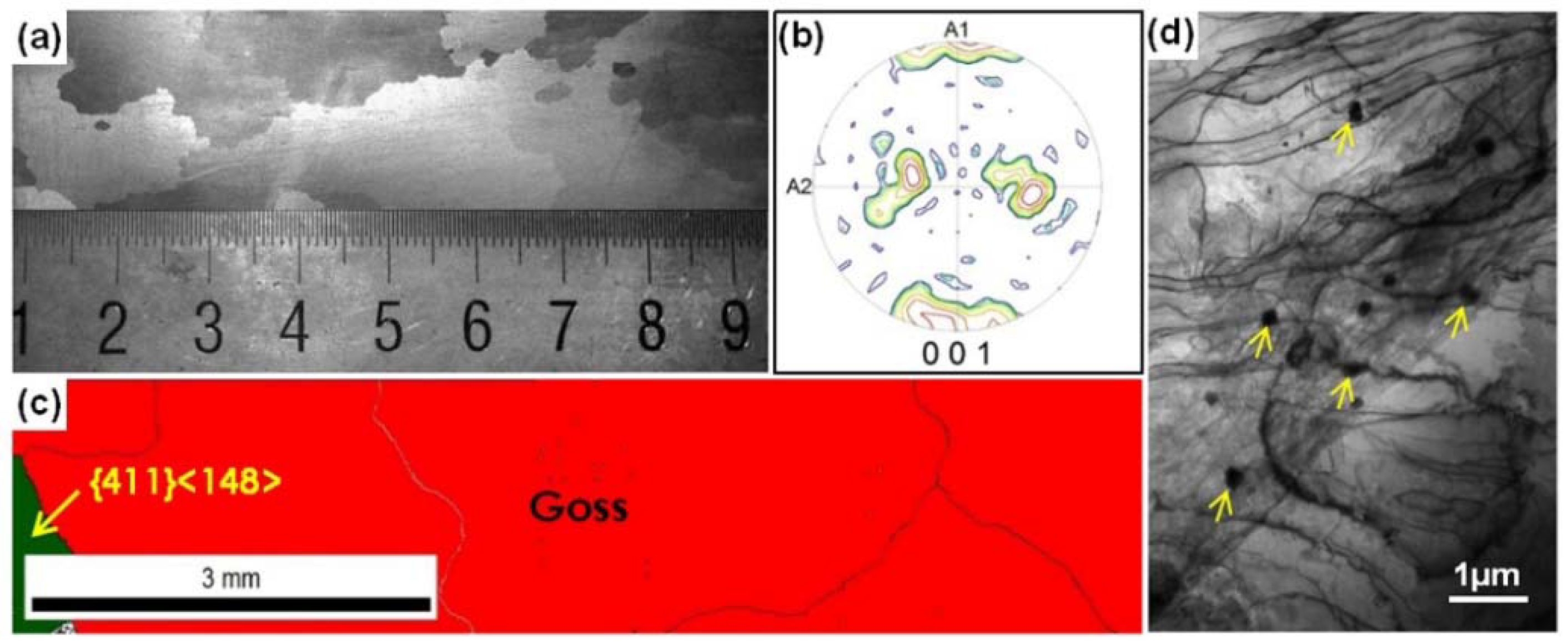 Metals 11 01655 g009 550