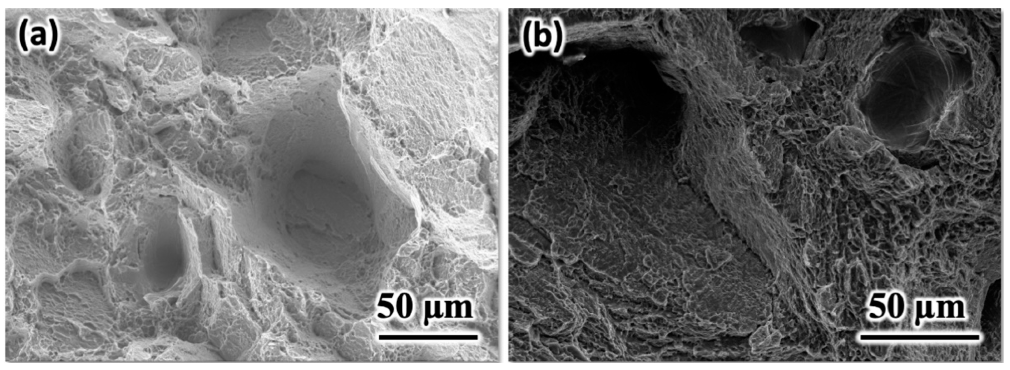 Metals 11 01671 g005