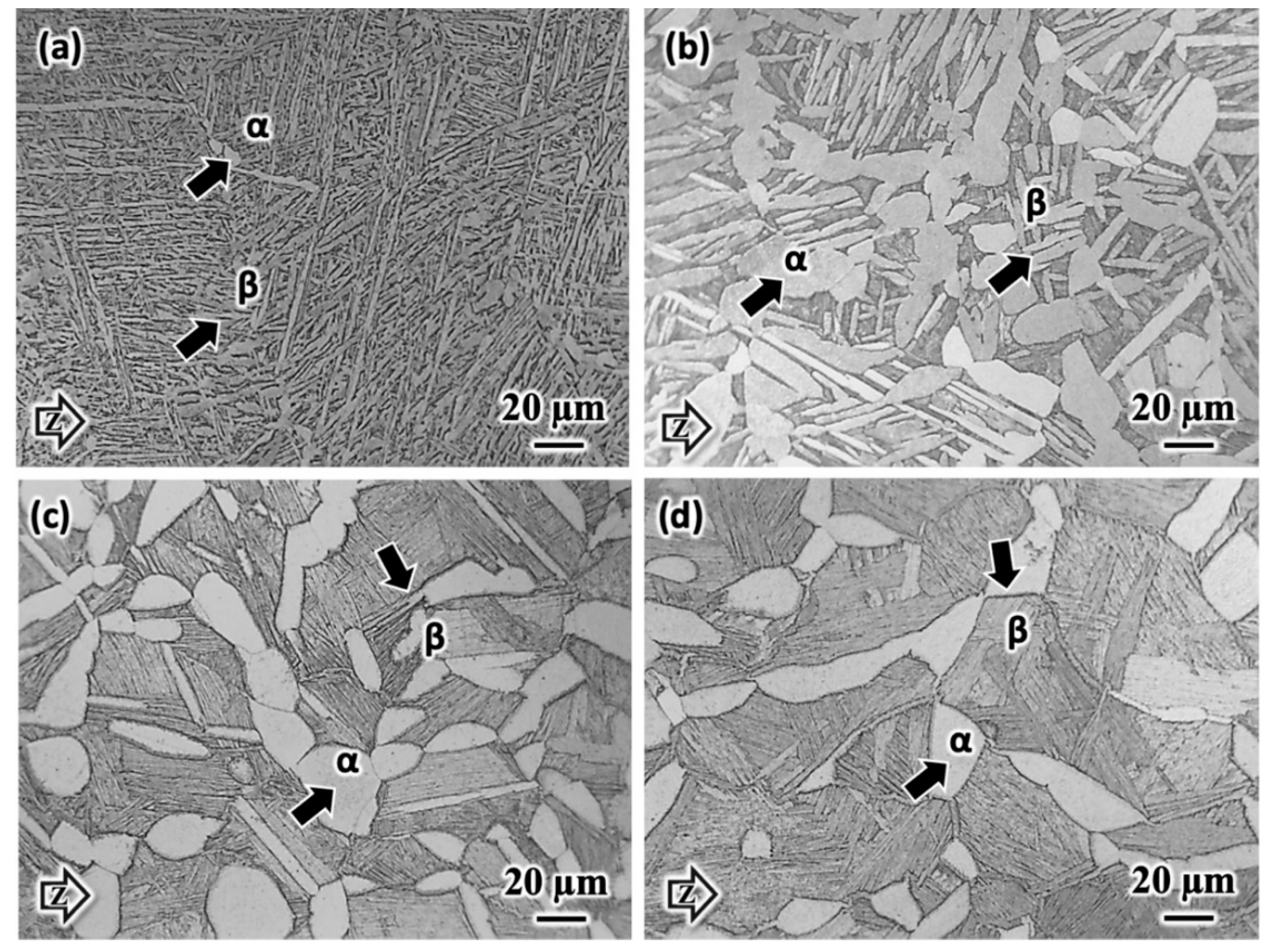 Metals 11 01671 g010