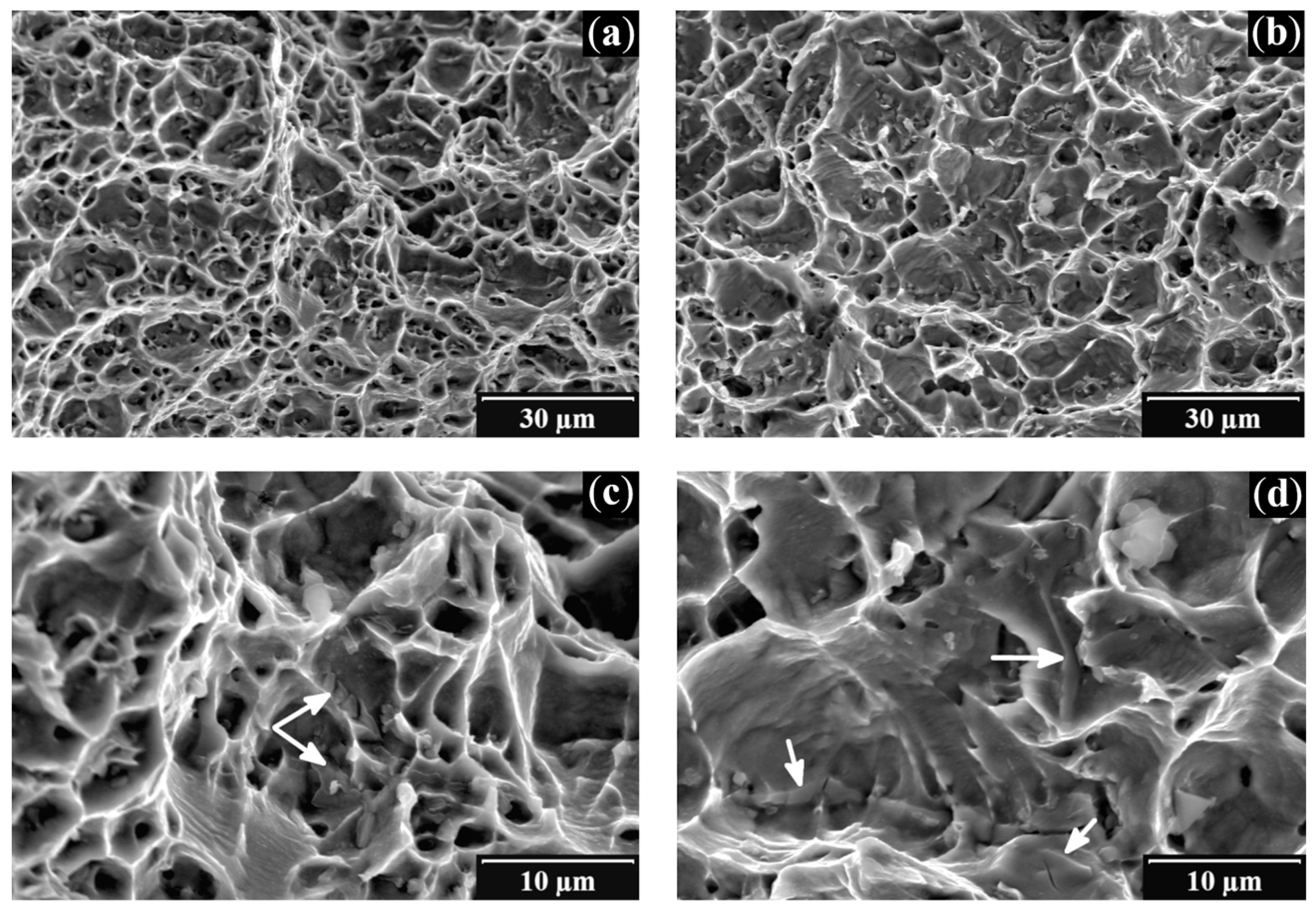 Metals 11 01676 g005