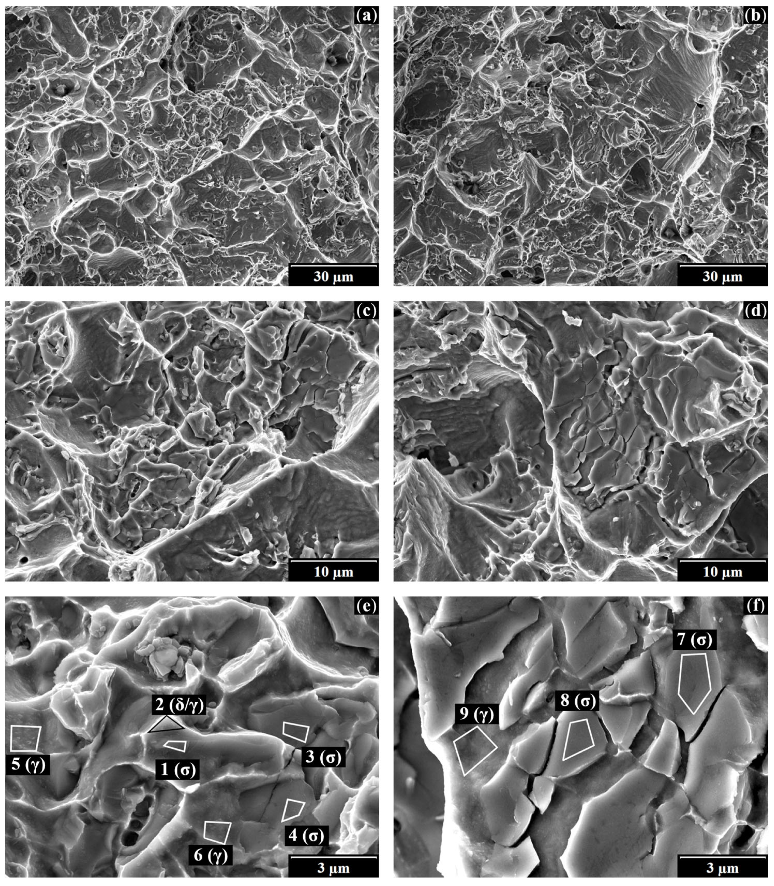 Metals 11 01676 g006