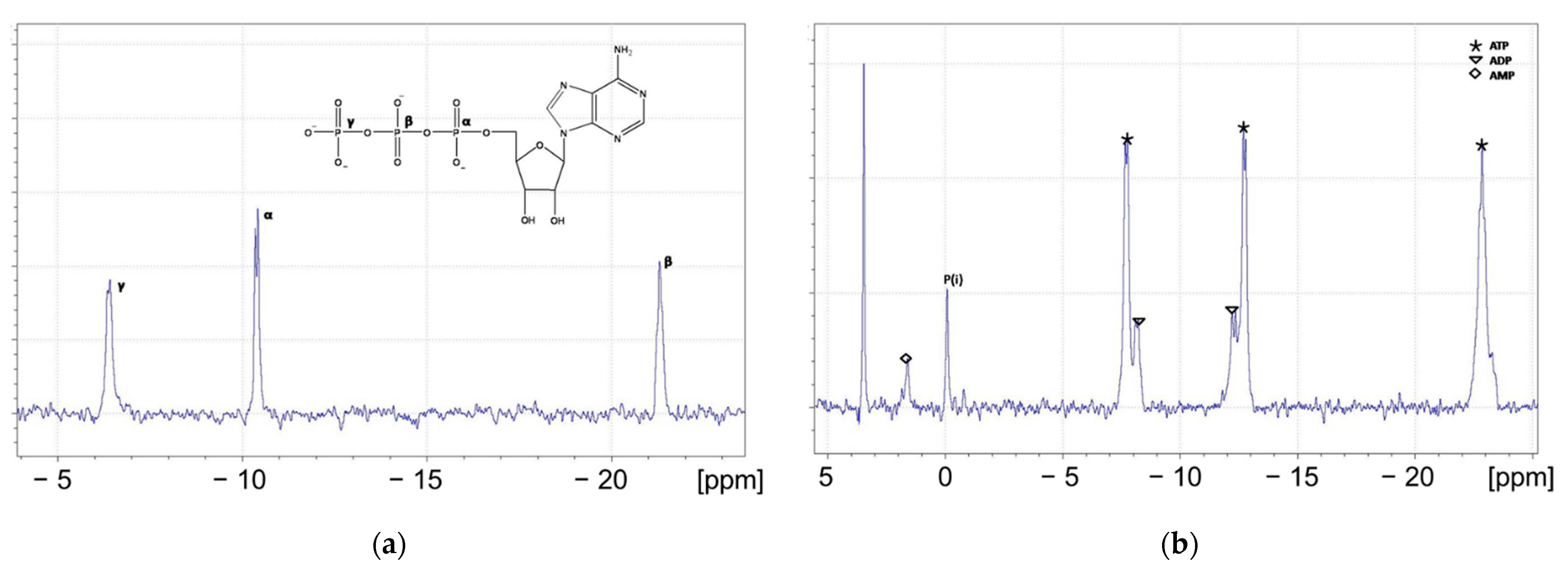 Metals 11 01678 g001