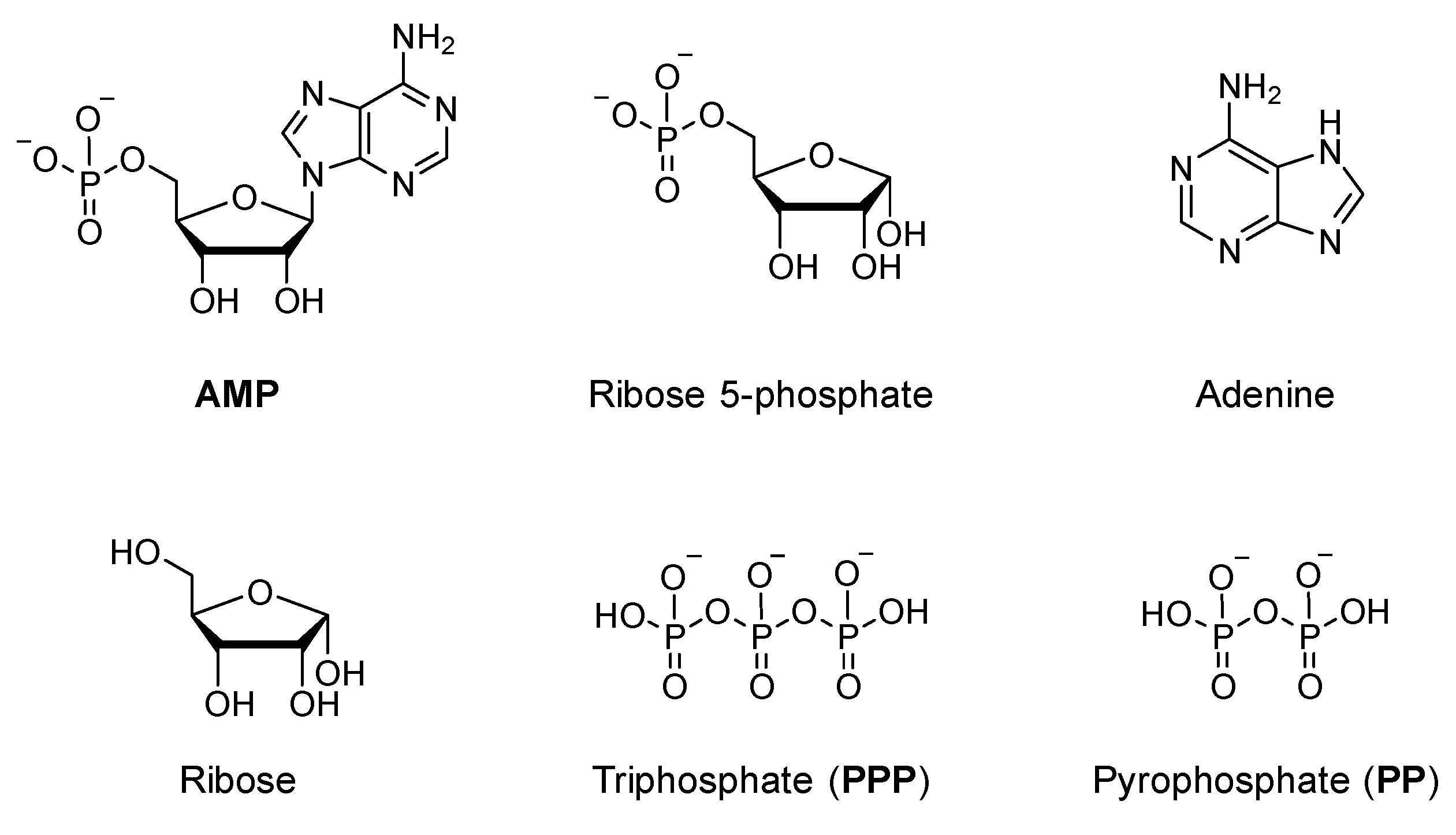 Metals 11 01678 g006