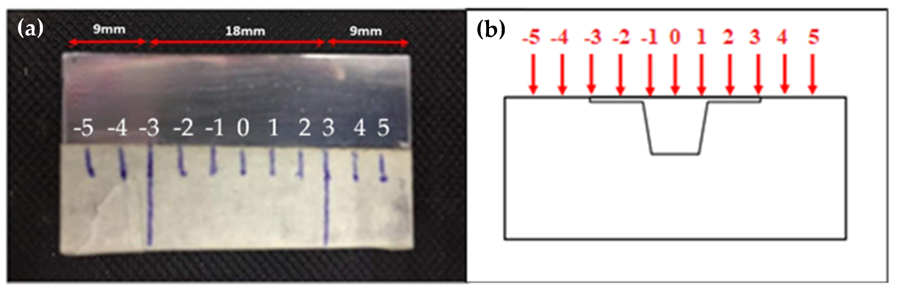 Metals 11 01695 g005