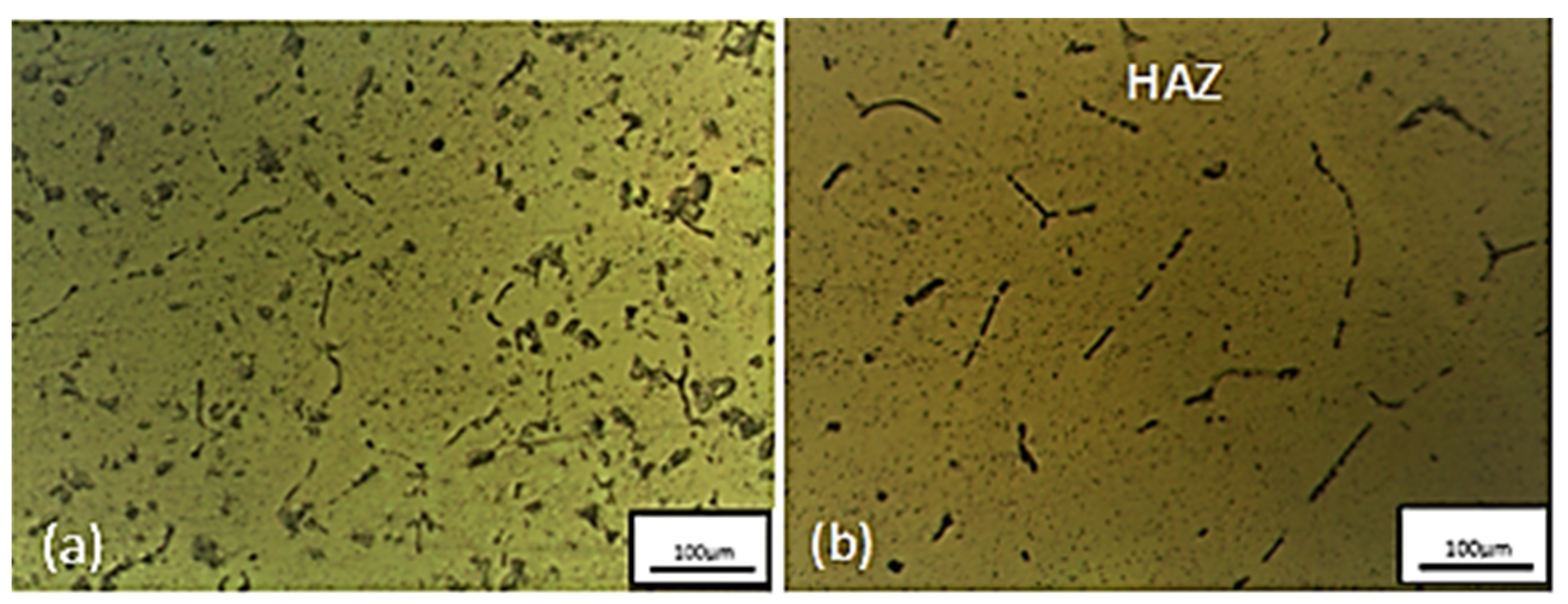 Metals 11 01695 g025